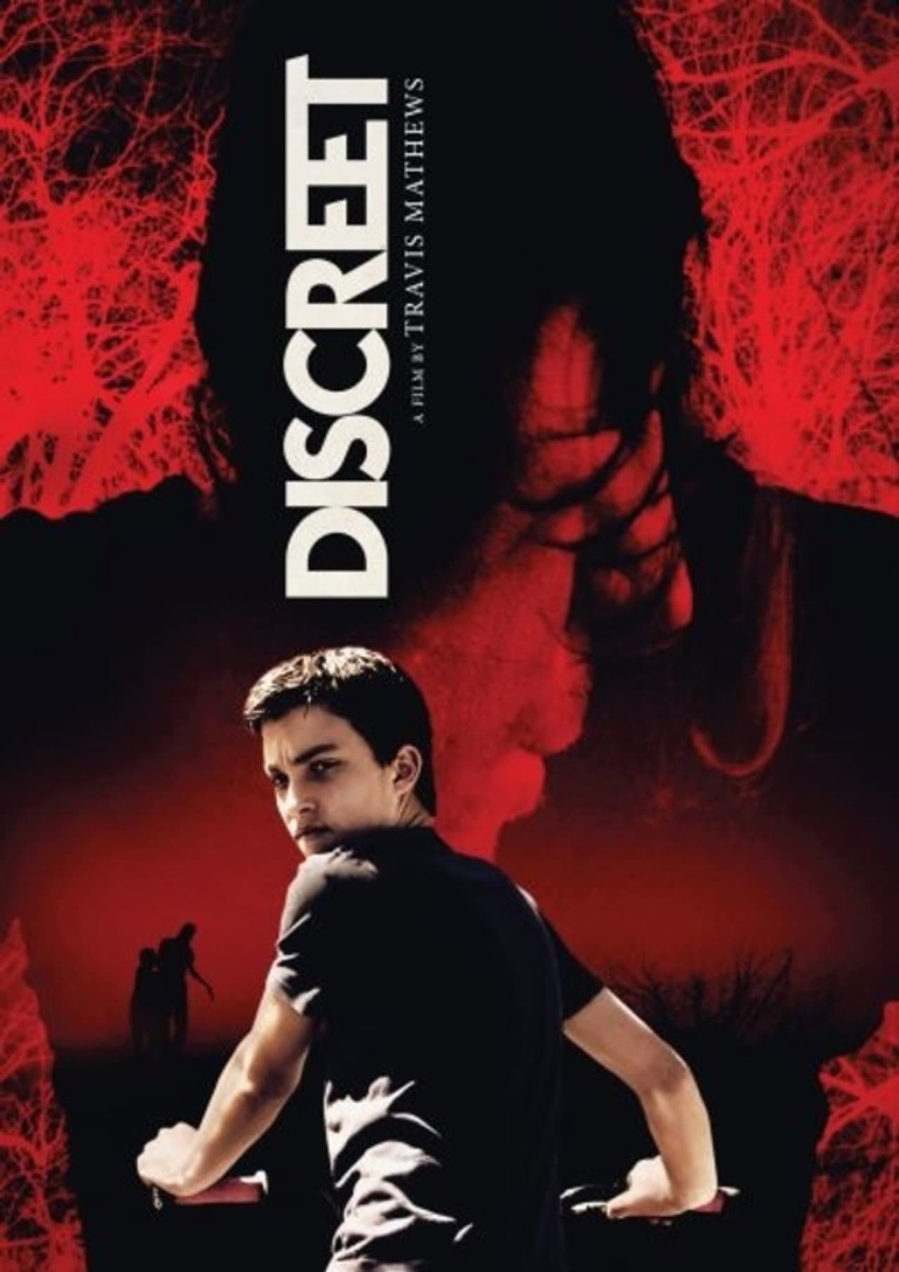 Discreet preview 2