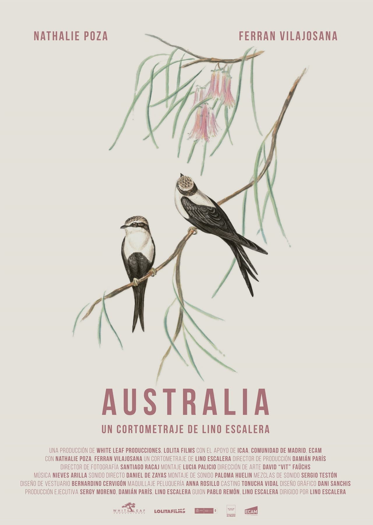Australia preview 2