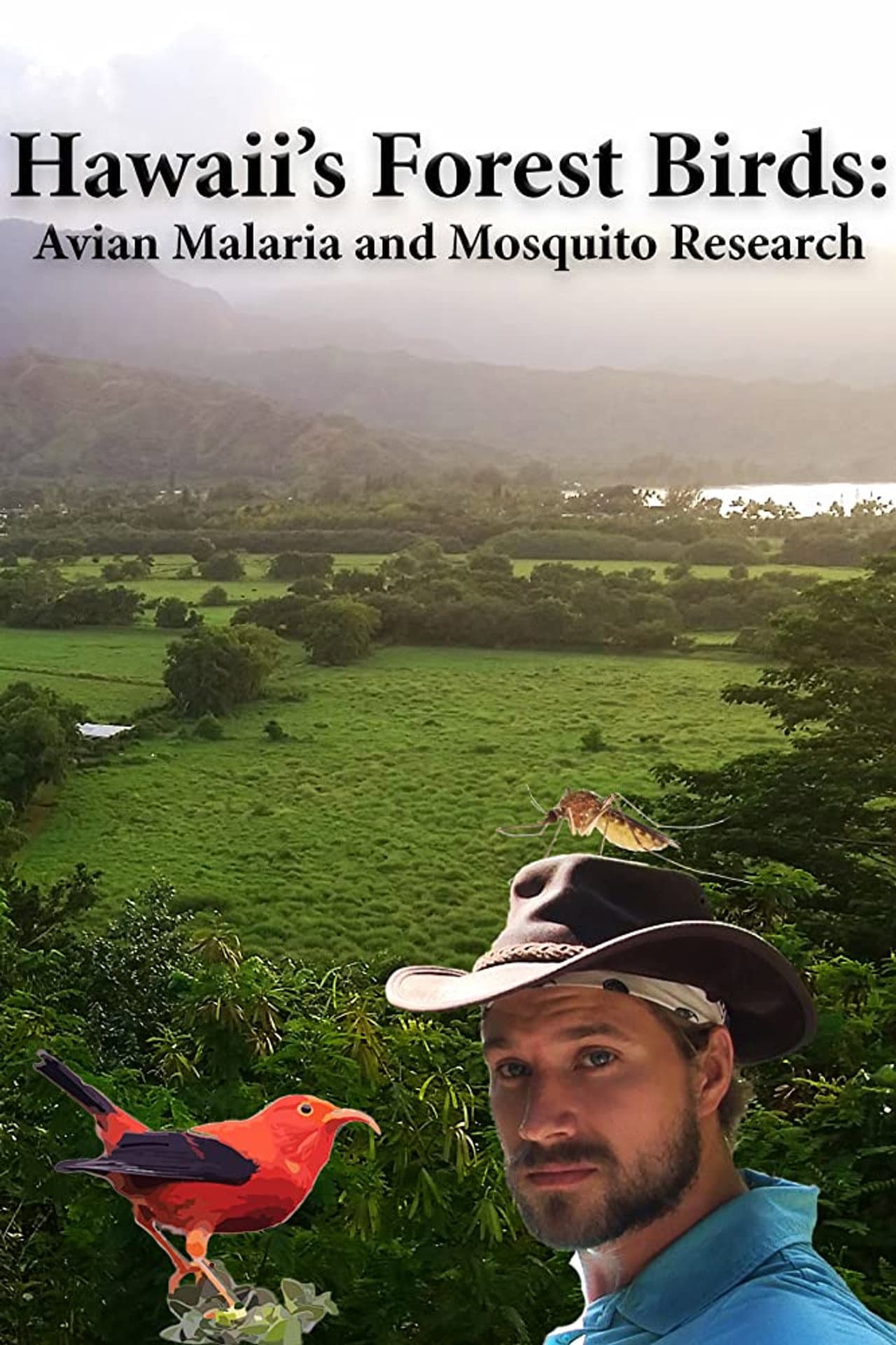 Hawaii's Forest Birds: Avian Malaria and Mosquito Research preview 1