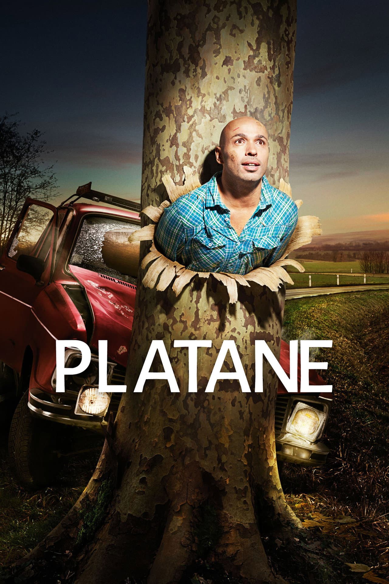Platane preview 2