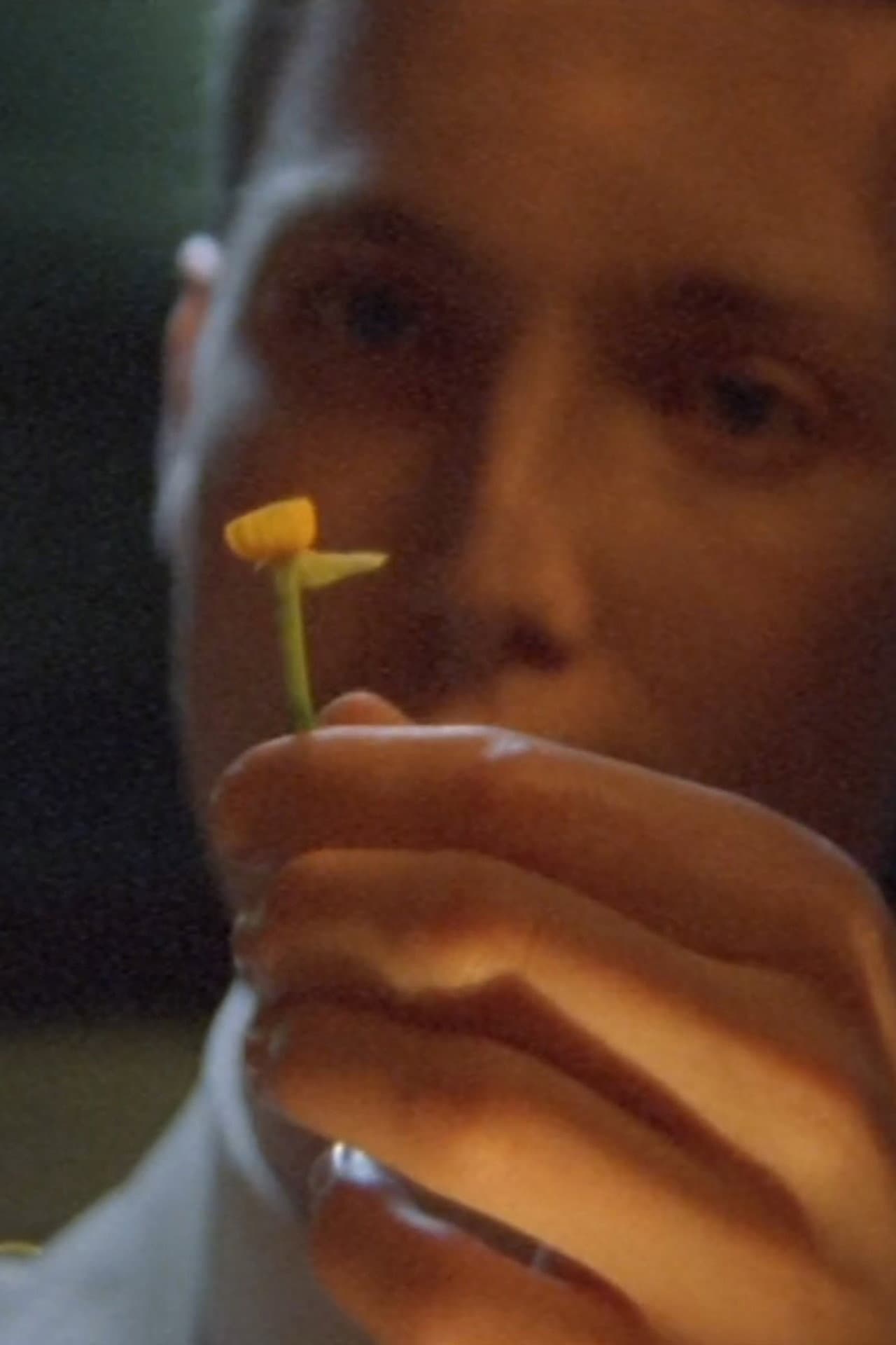The Man Who Loved Flowers preview 2
