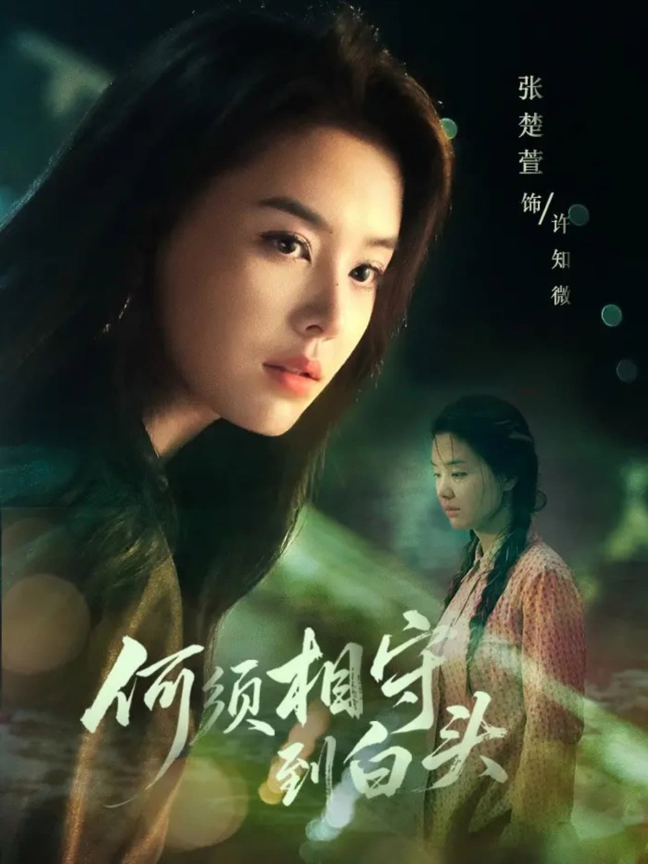 何须相守到白头 preview 1