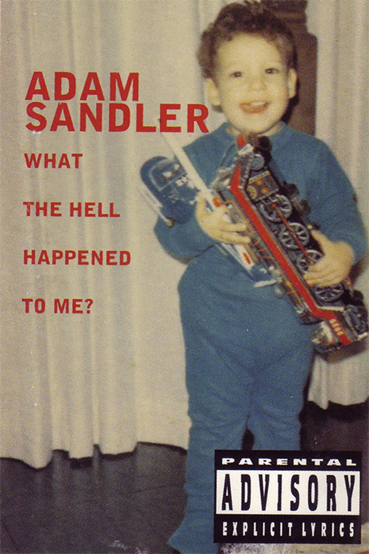 Adam Sandler: What the Hell Happened to Me? preview 1