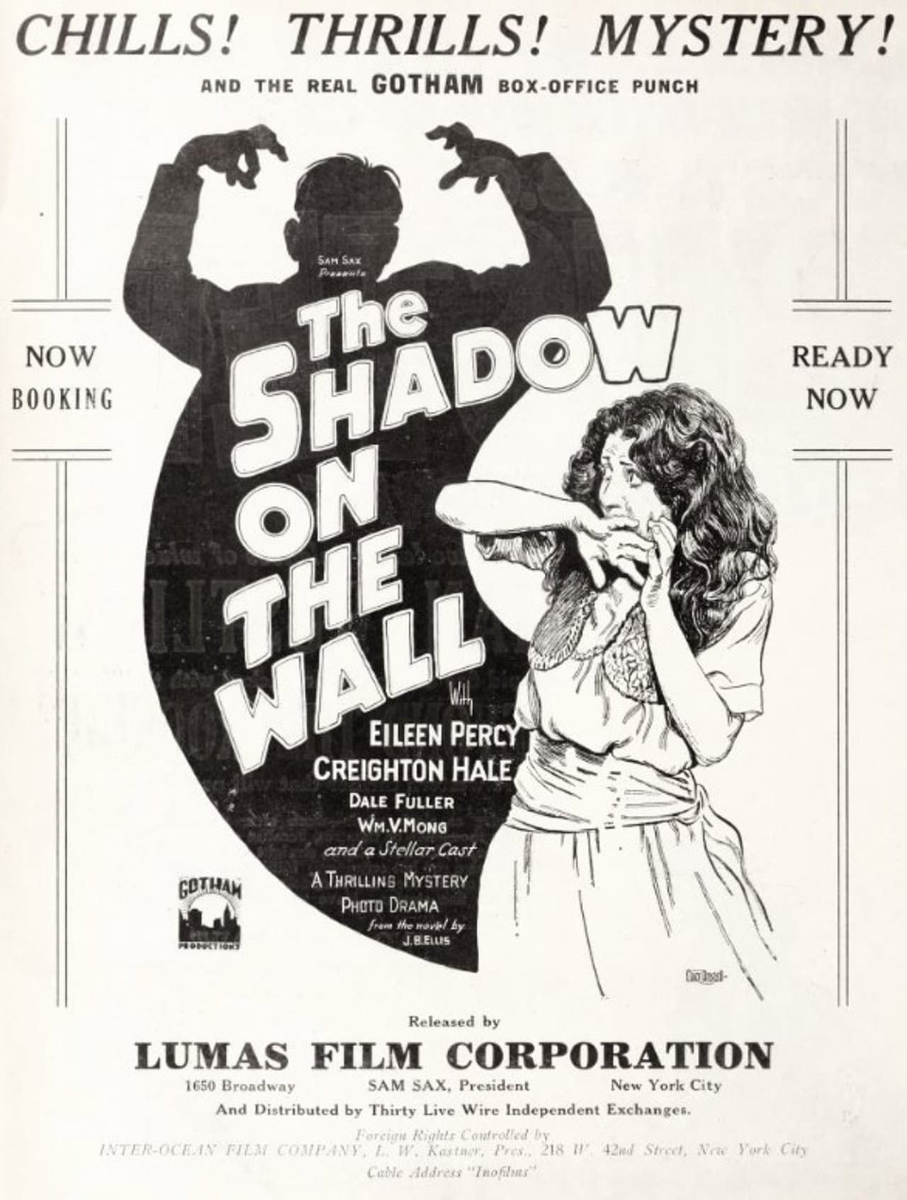 The Shadow on the Wall preview 1