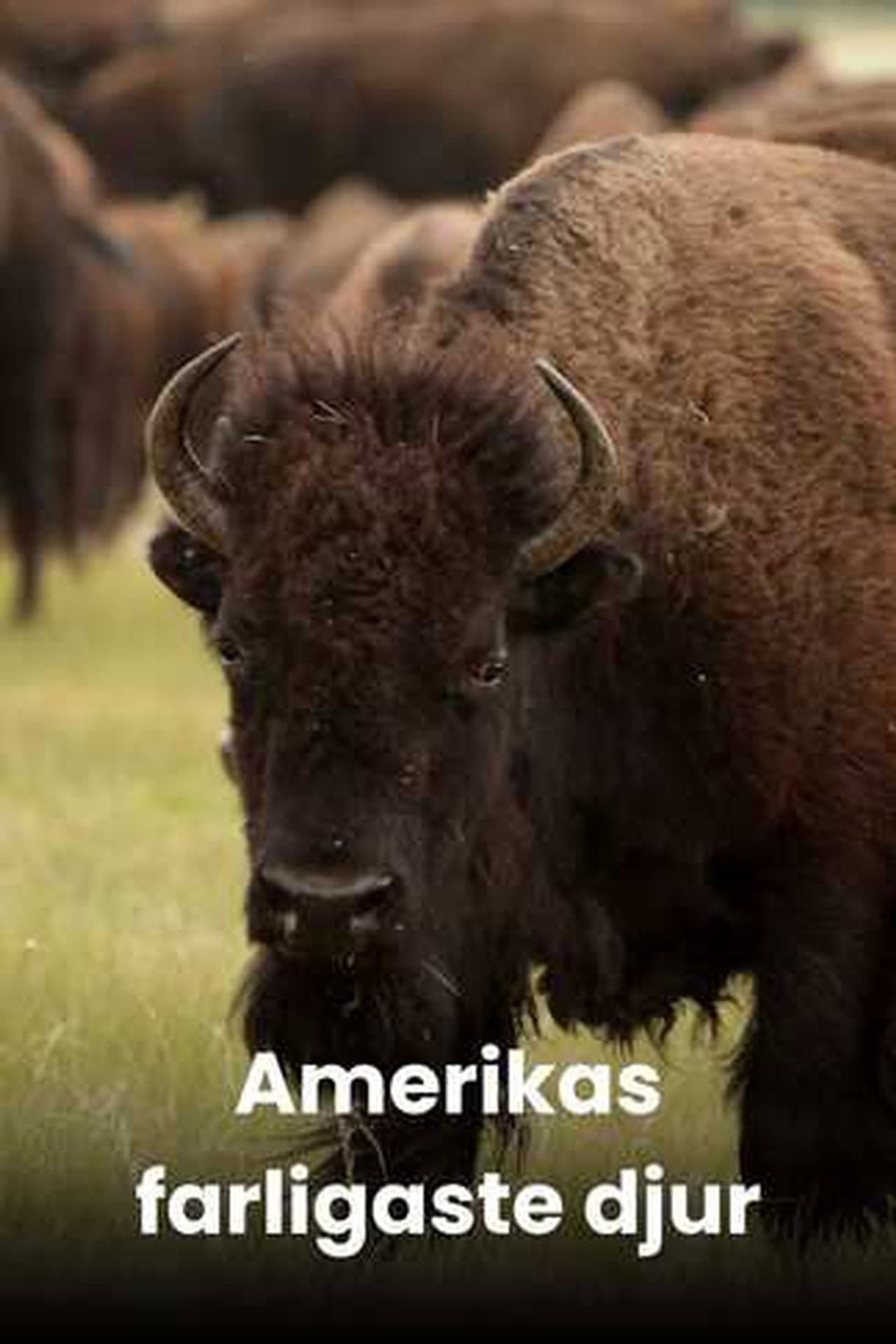 America's Deadliest preview 2