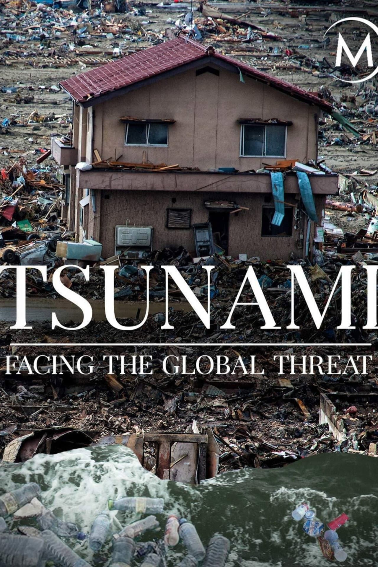 Tsunamis: Facing a Global Threat preview 2
