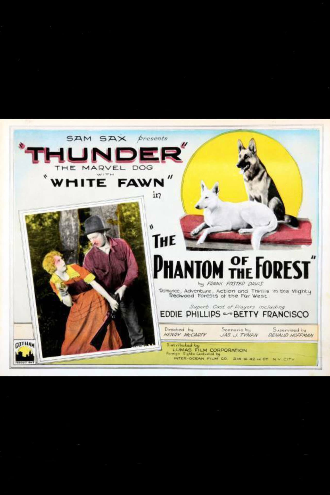 The Phantom of the Forest preview 1