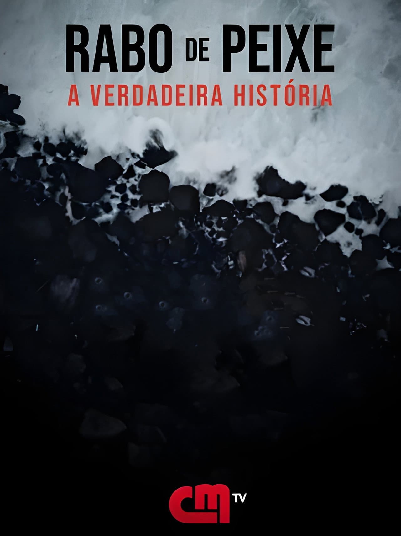 Rabo de Peixe - A Verdadeira História preview 2