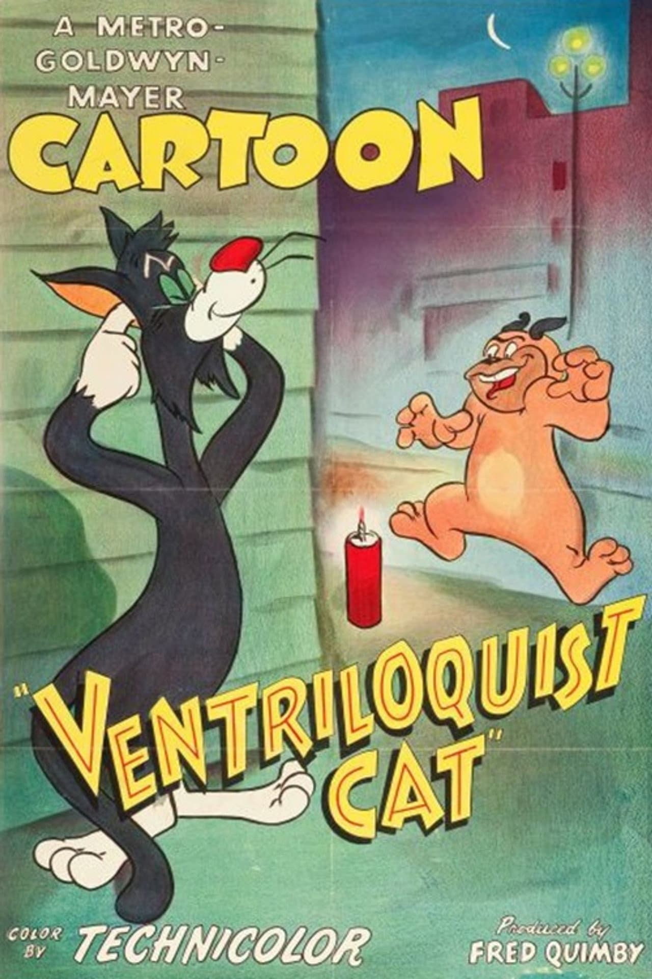 Ventriloquist Cat preview 2
