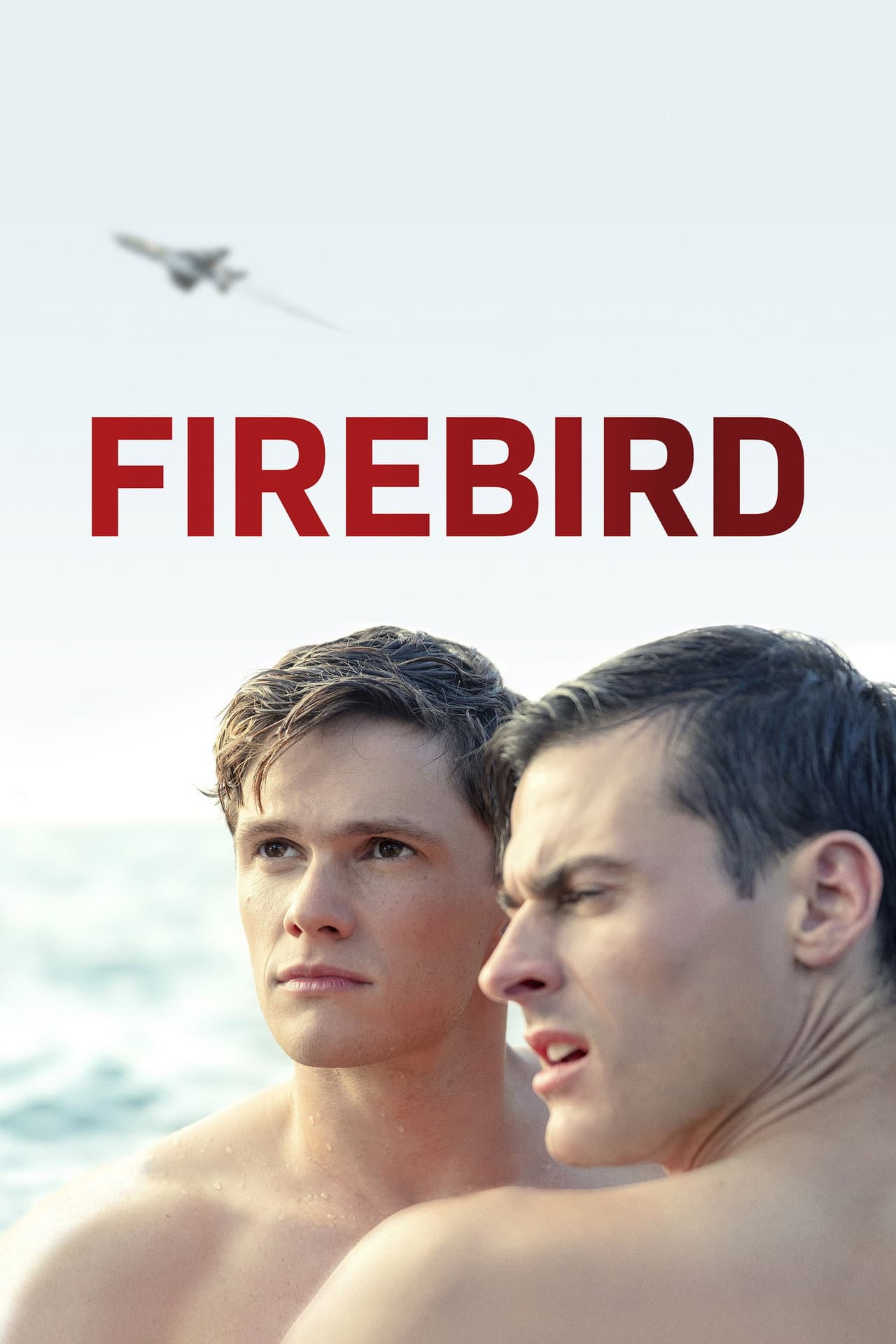 Firebird preview 2