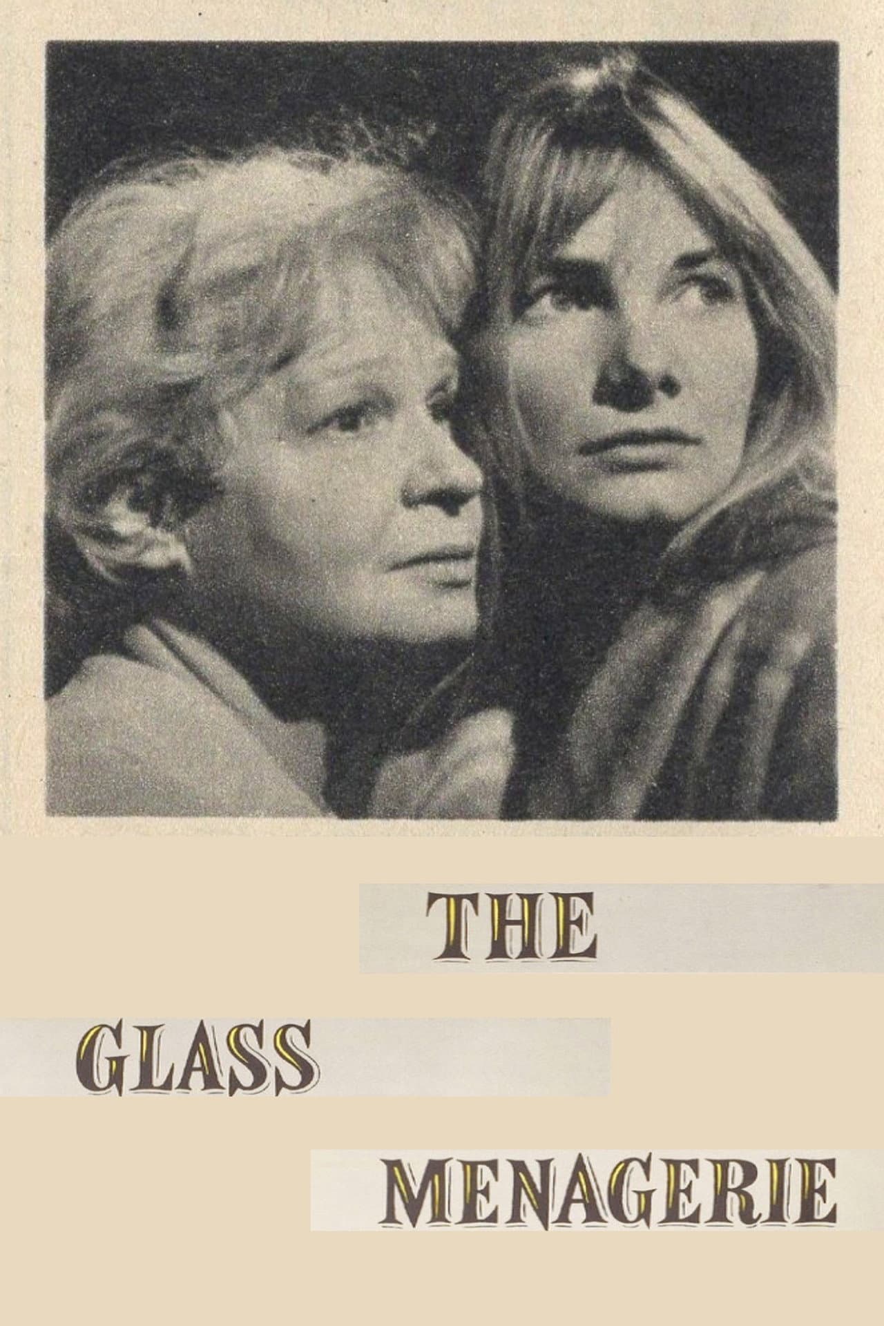 The Glass Menagerie preview 1