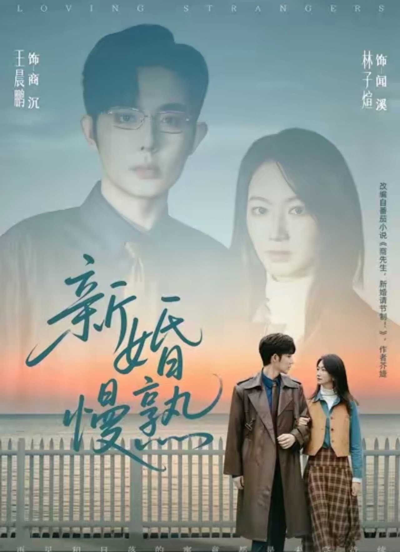 新婚慢熟 preview 1