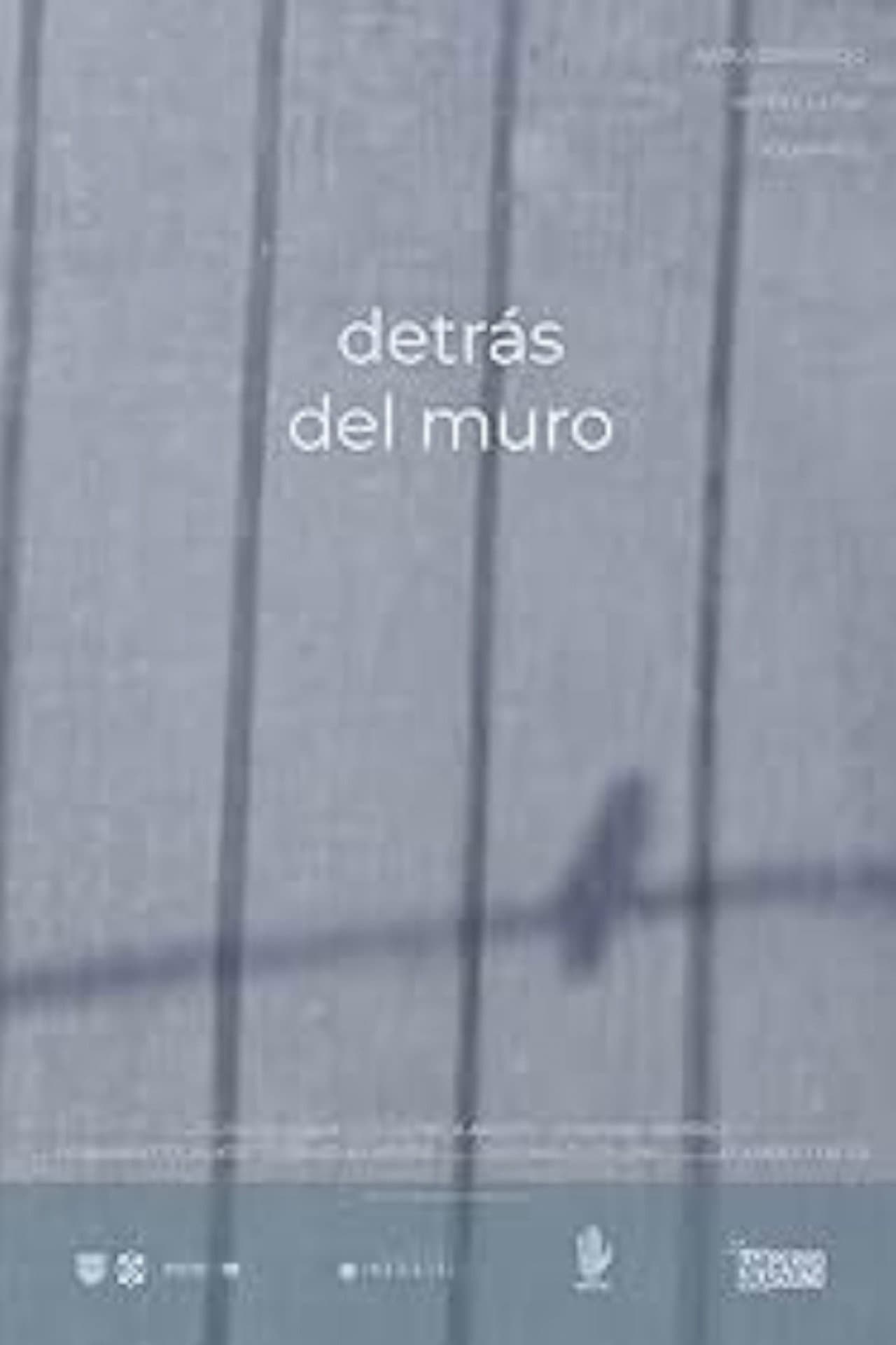 Detrás del Muro preview 1