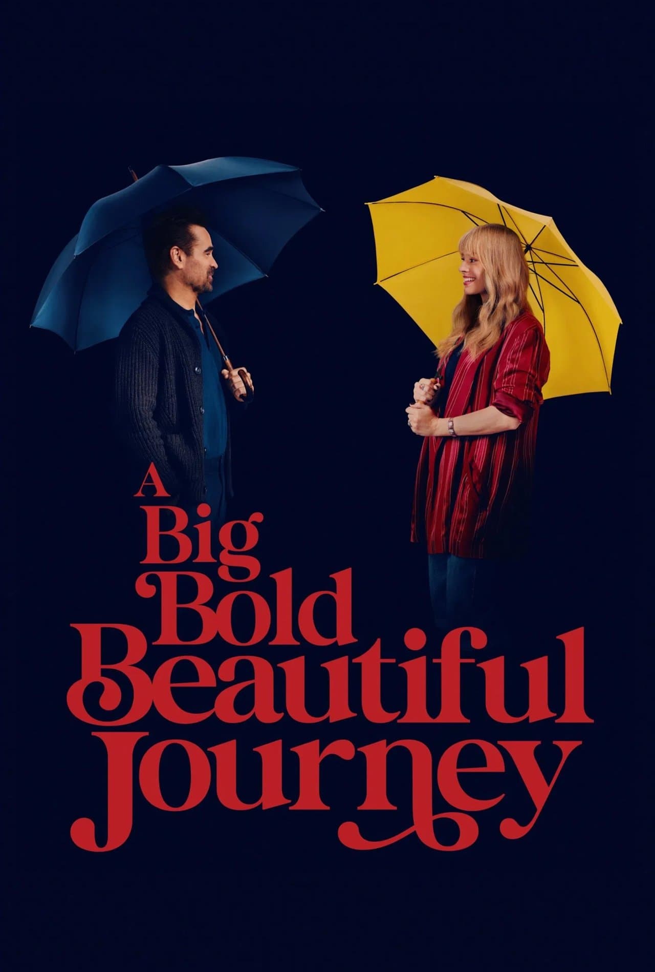 A Big Bold Beautiful Journey preview 2