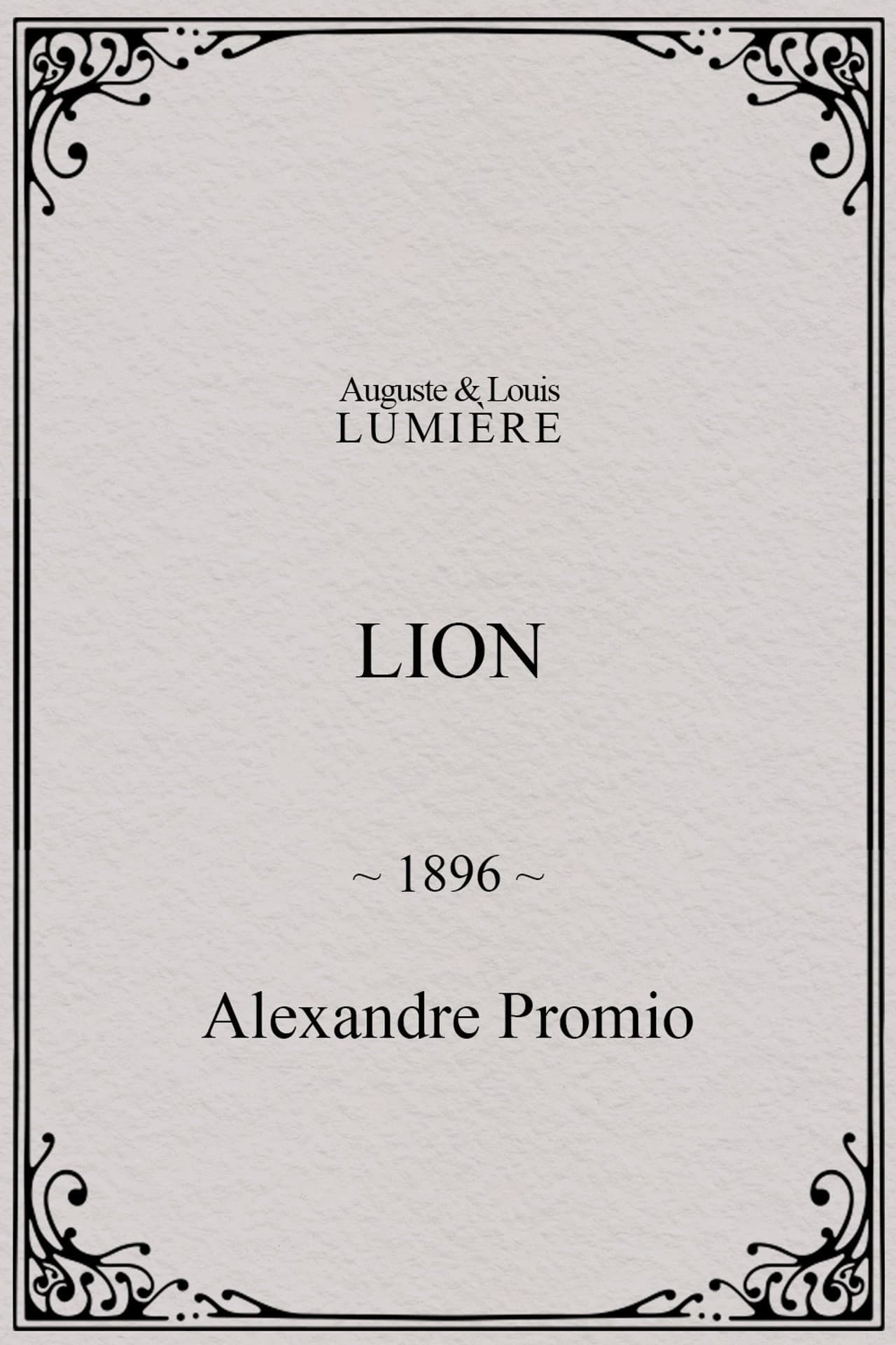 Lion, London Zoological Gardens preview 2