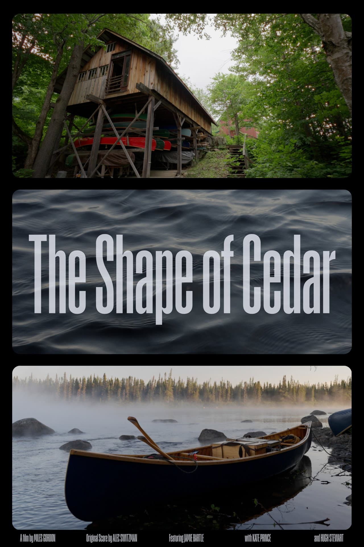 The Shape of Cedar preview 1