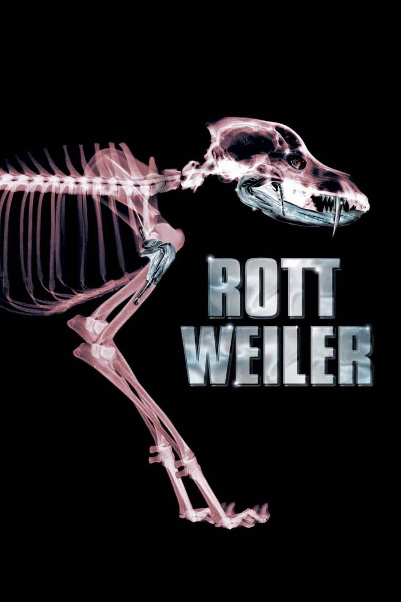 Rottweiler preview 2