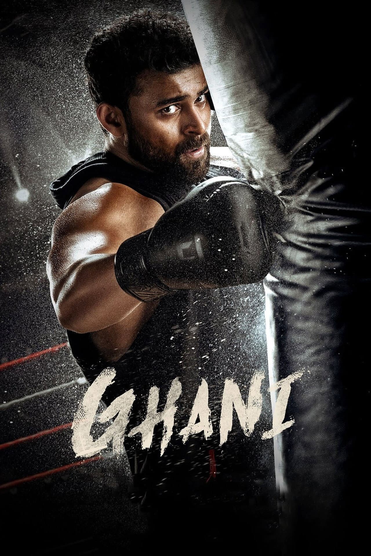 Ghani preview 2