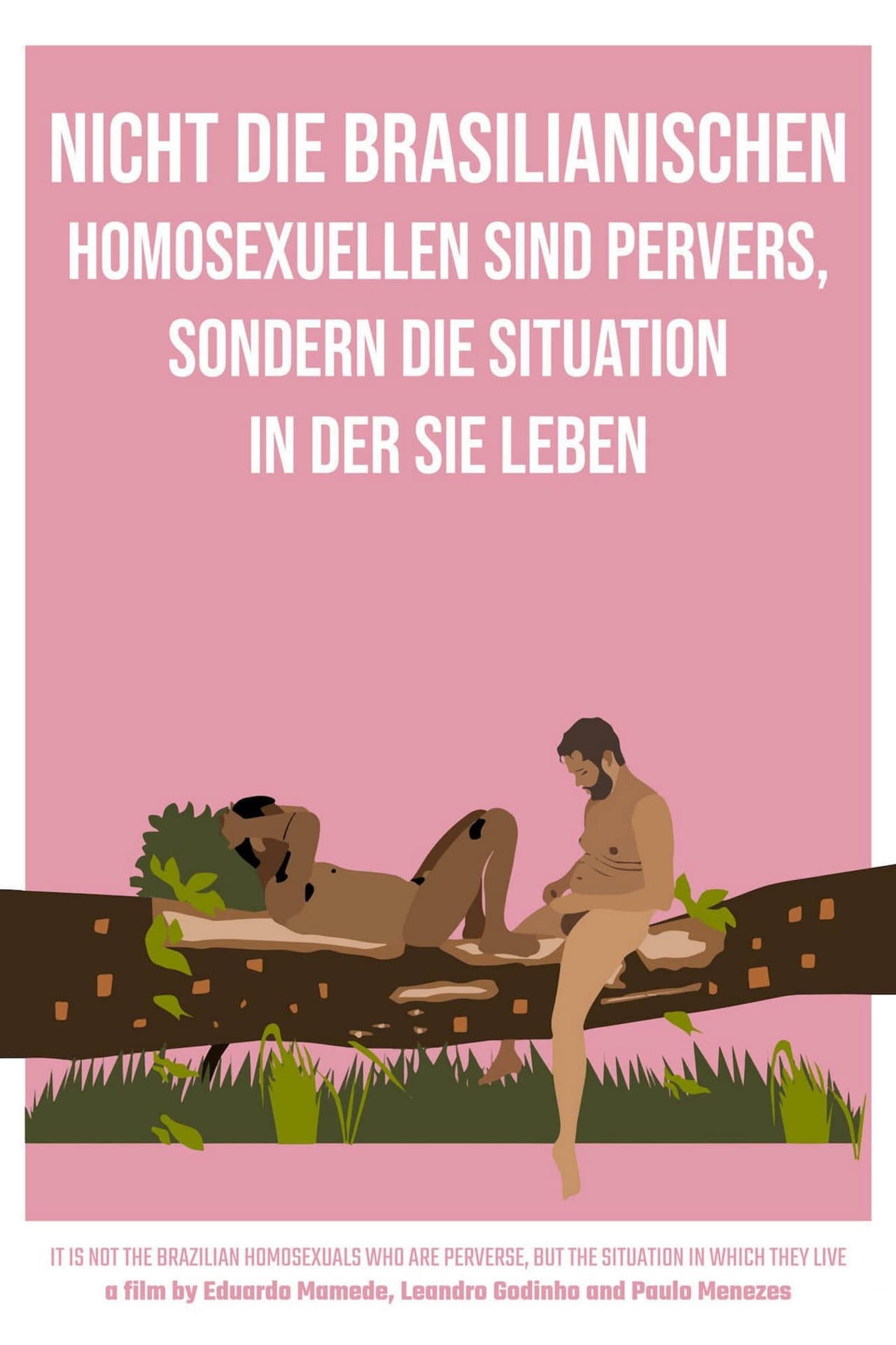 It Is Not the Brazilian Homosexuals Who Are Perverse, But the Situation in Which They Live preview 2
