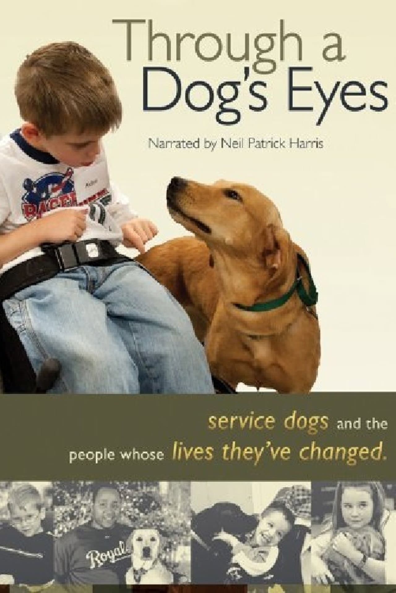 Through a Dog's Eyes preview 1