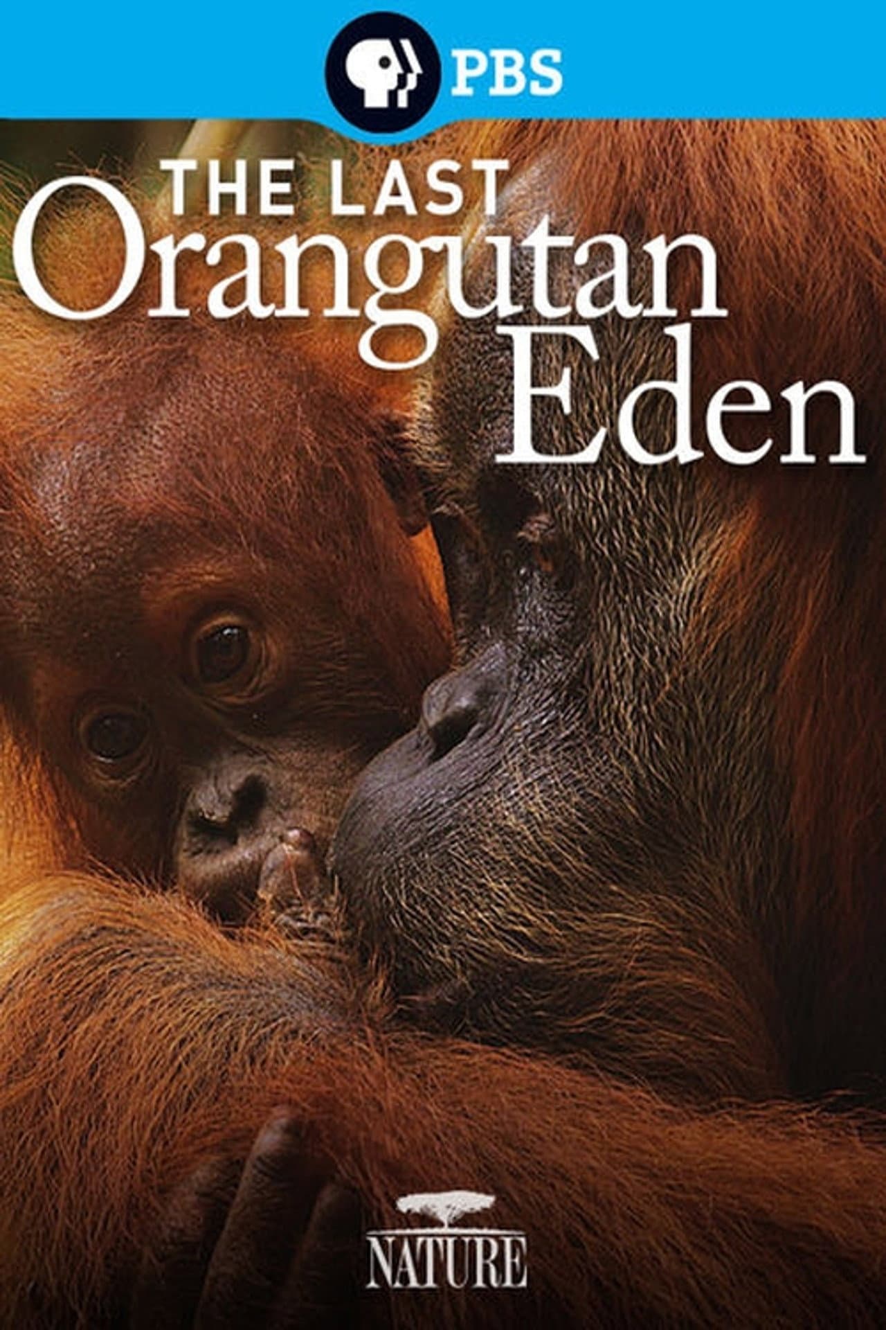 The Last Orangutan Eden preview 2
