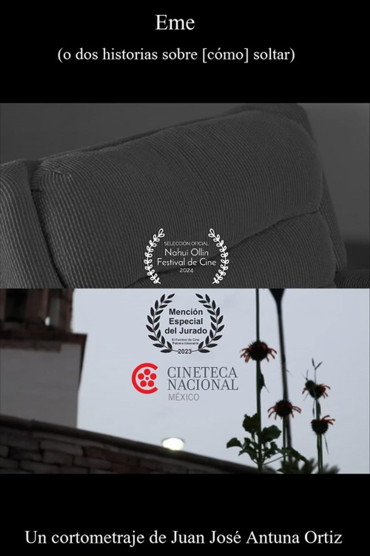 Eme (o dos historias sobre [cómo] soltar) preview 1