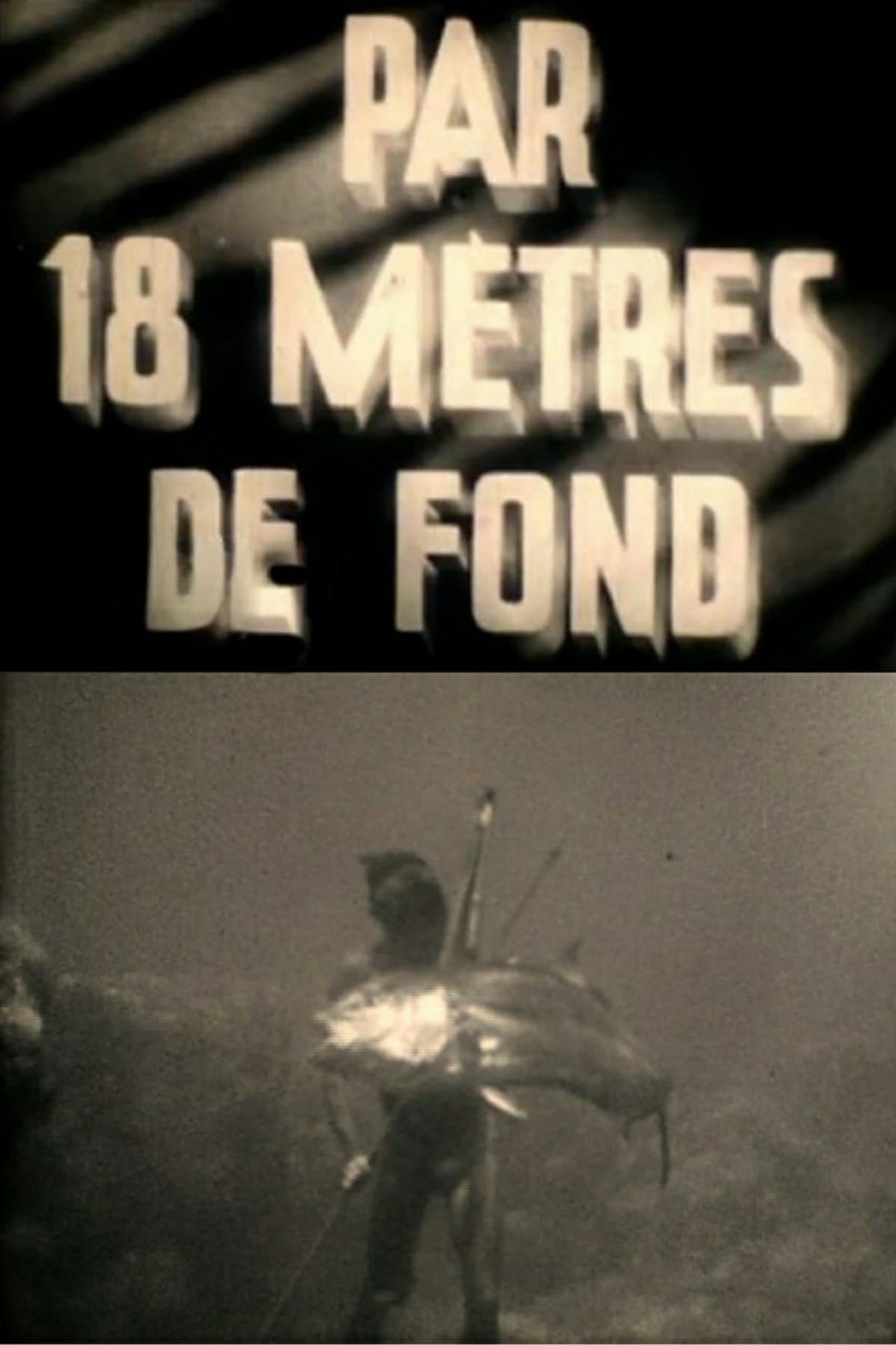 At a Depth of Eighteen Meters preview 2