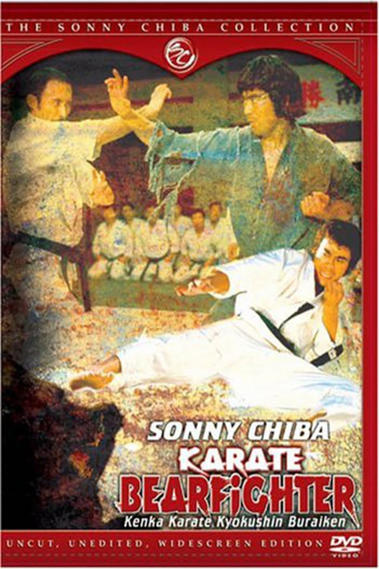 Karate Bear Fighter preview 2