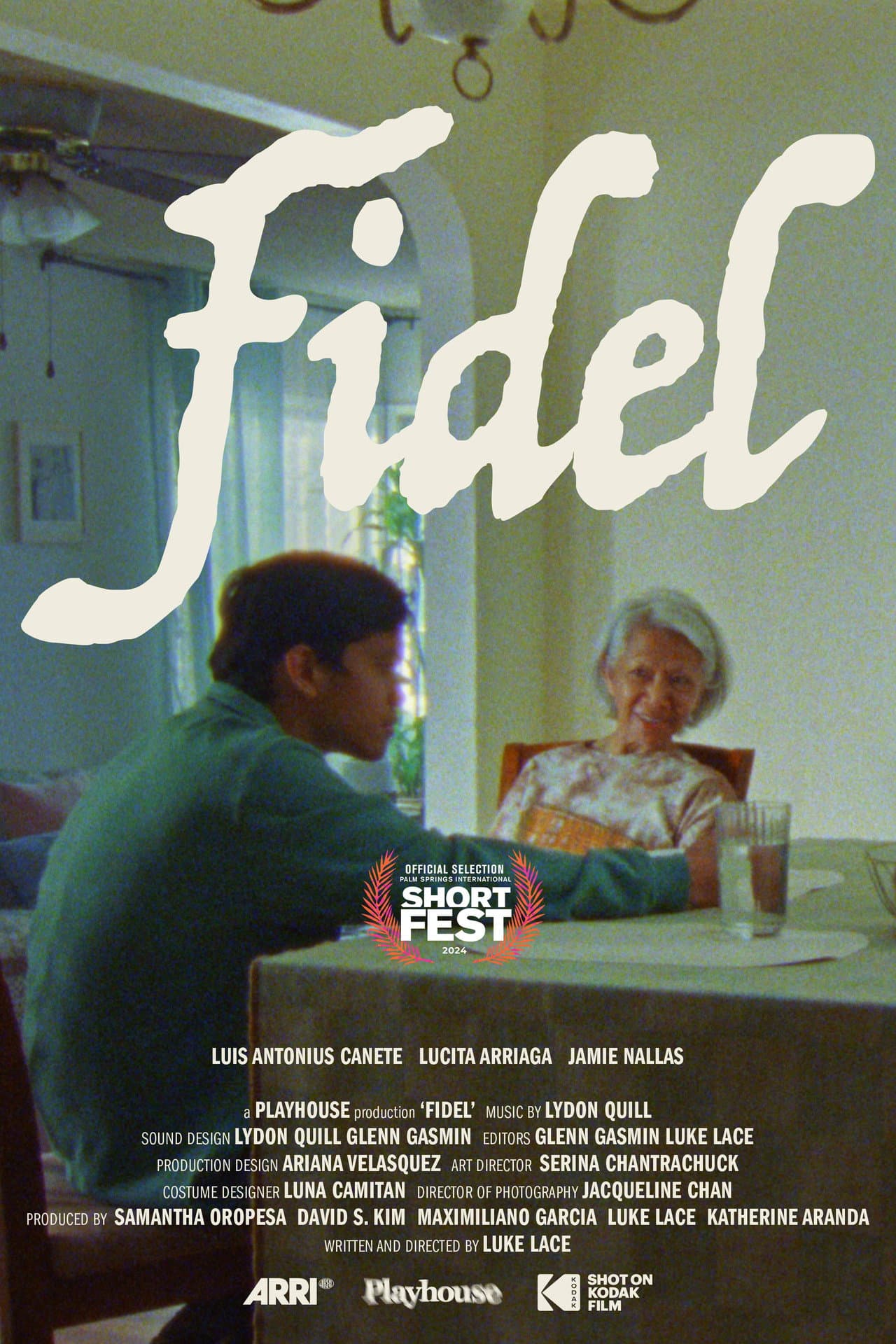 Fidel preview 2