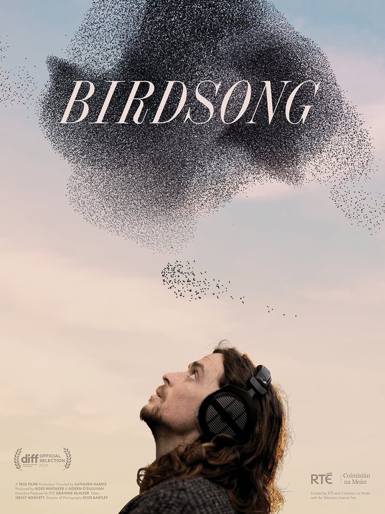Birdsong preview 1