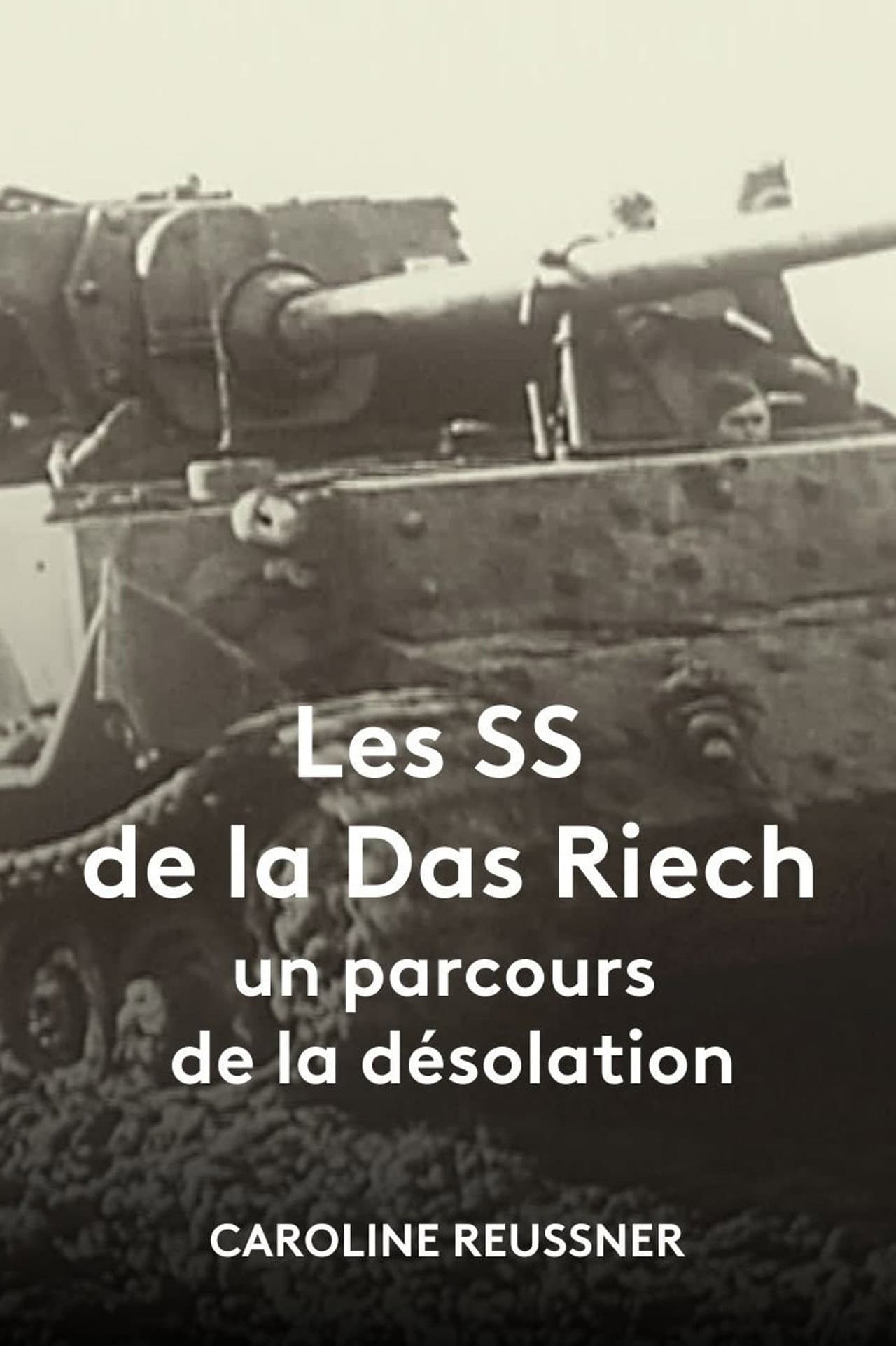 Les SS de la Das Reich, un parcours de la désolation preview 1