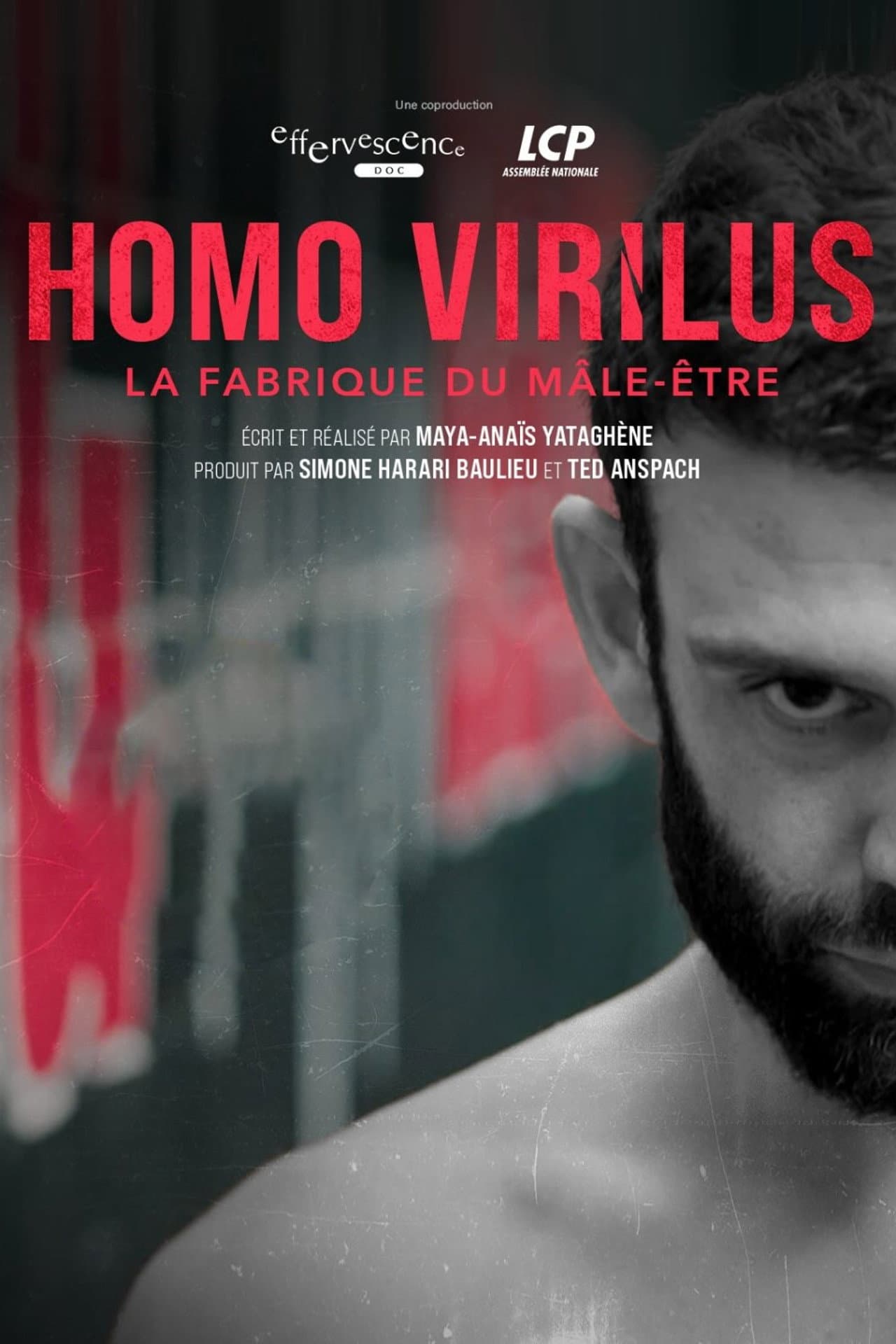 Homo virilus : la fabrique du mâle-être preview 2