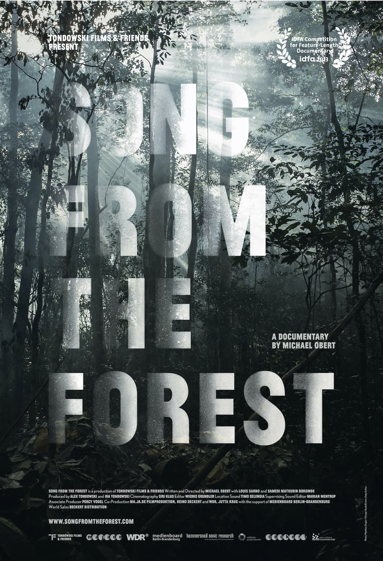 Song from the Forest preview 2