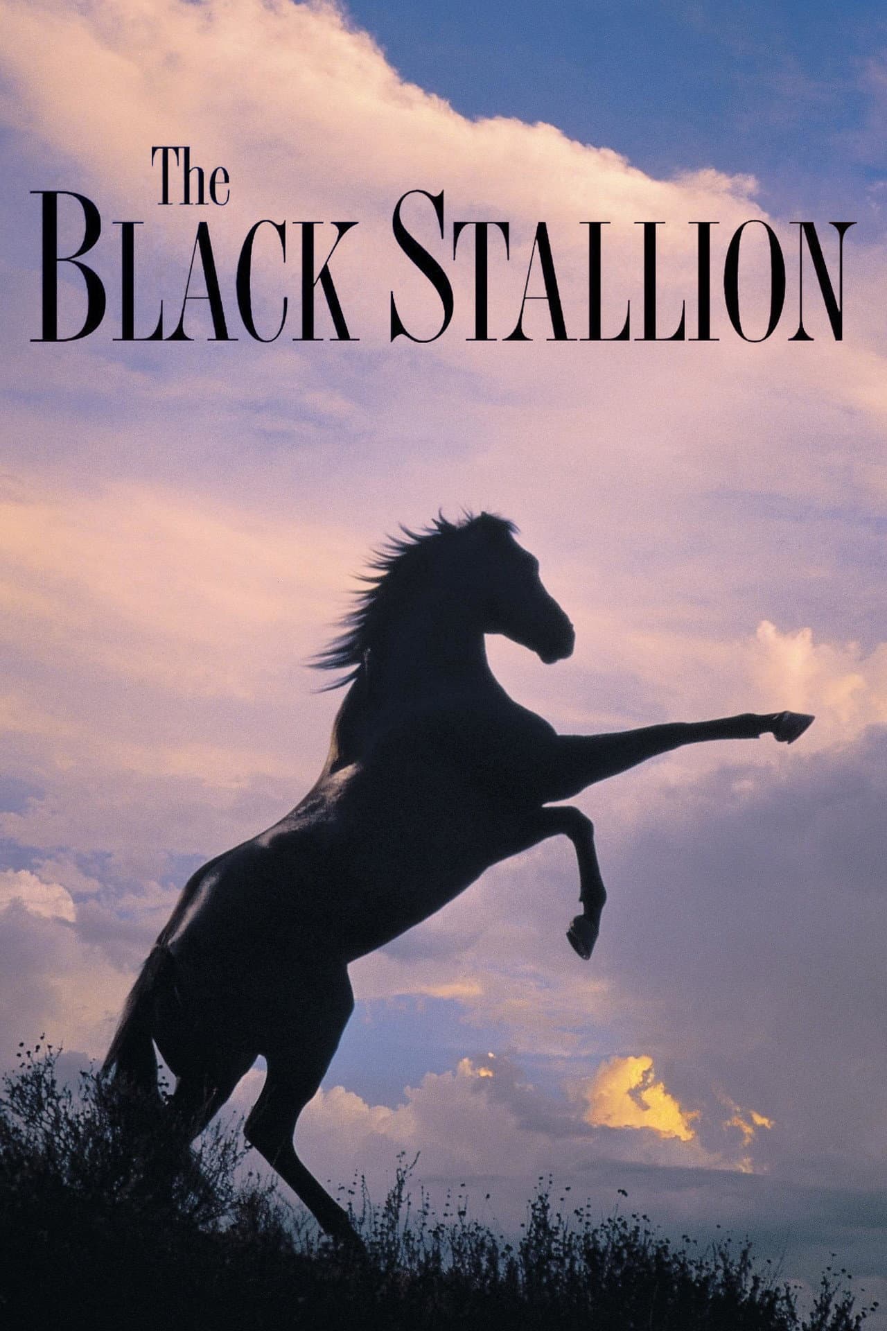 The Black Stallion preview 2