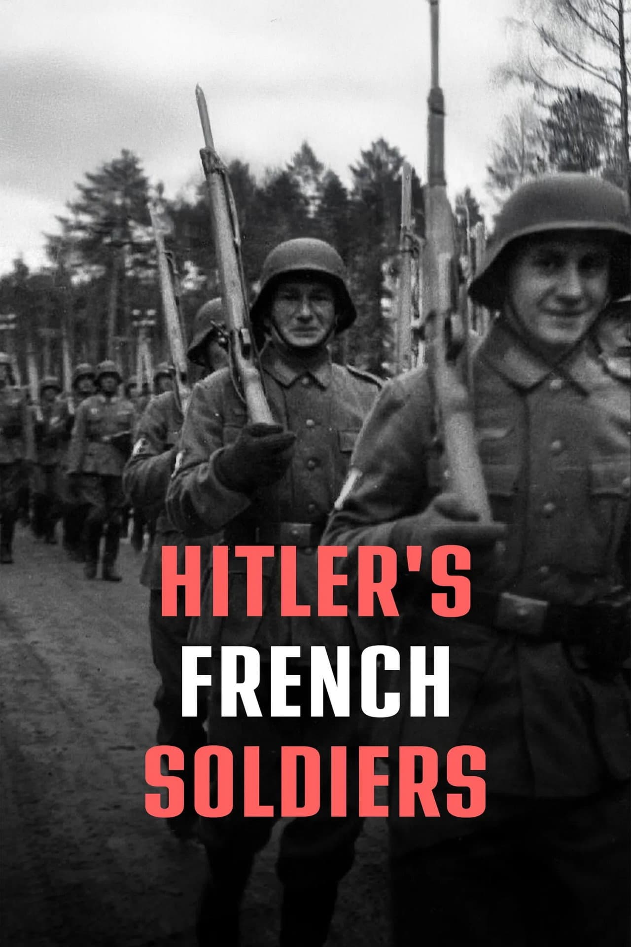 French Soldiers of the Third Reich preview 2