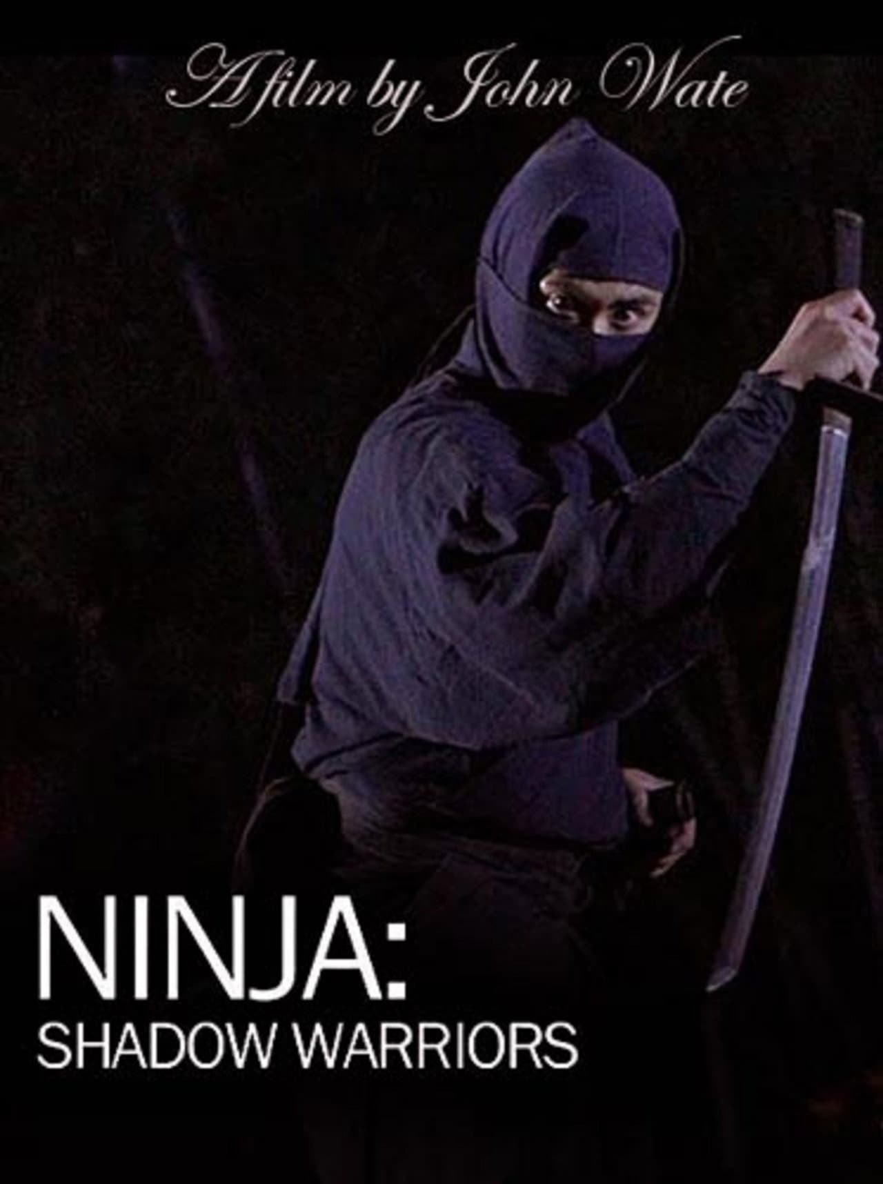 Ninja Shadow Warriors preview 1