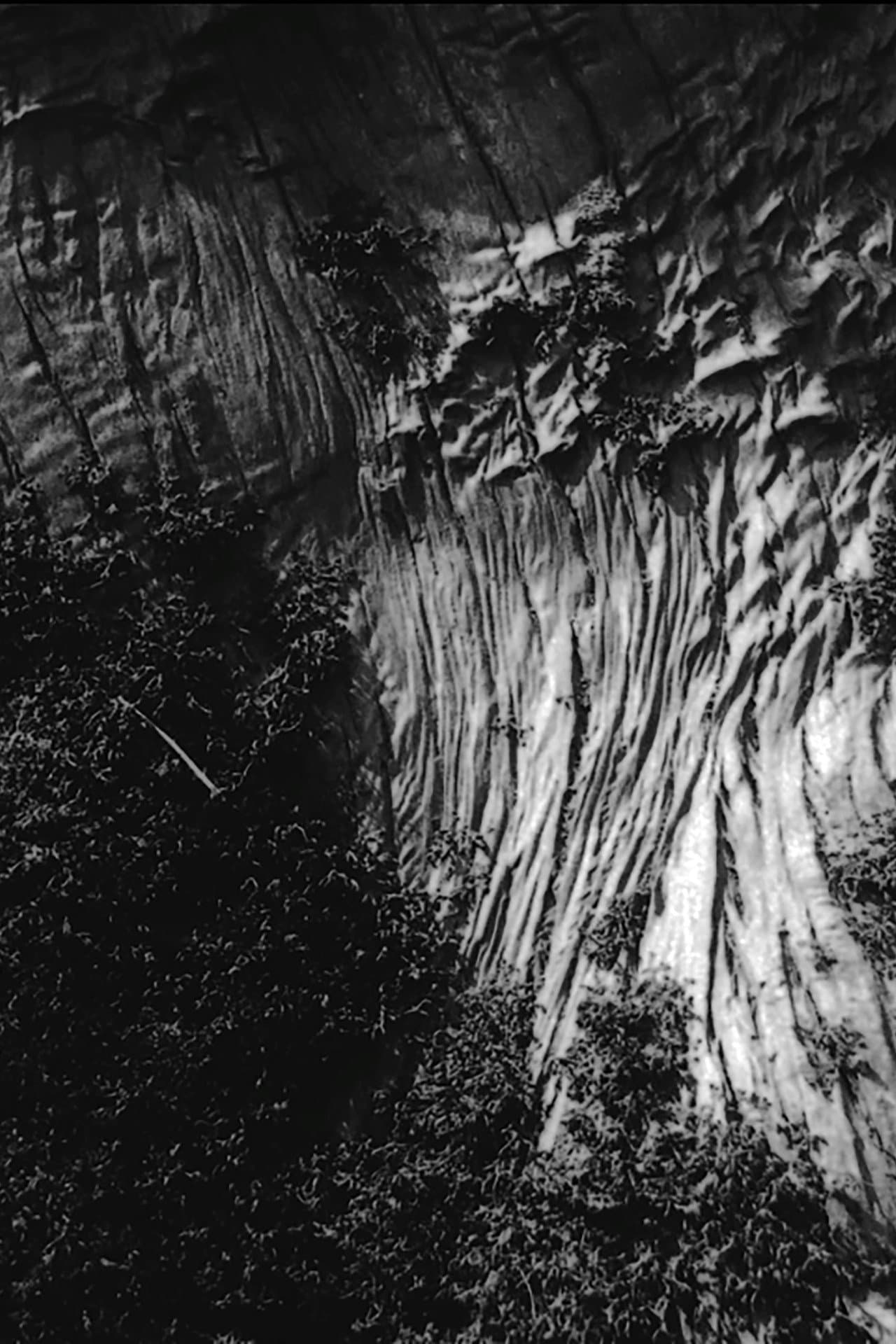Black River preview 2