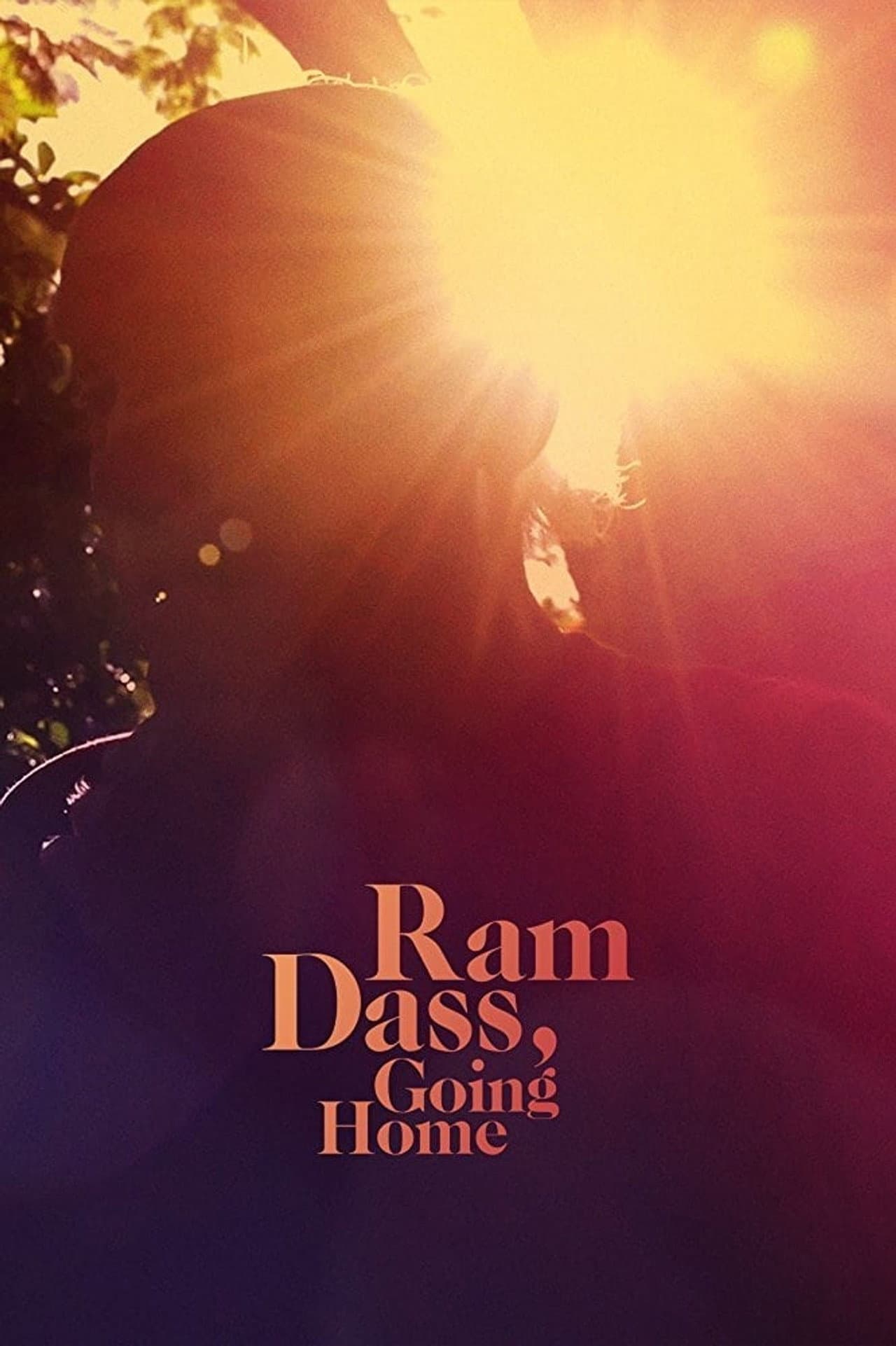 Ram Dass, Going Home preview 2