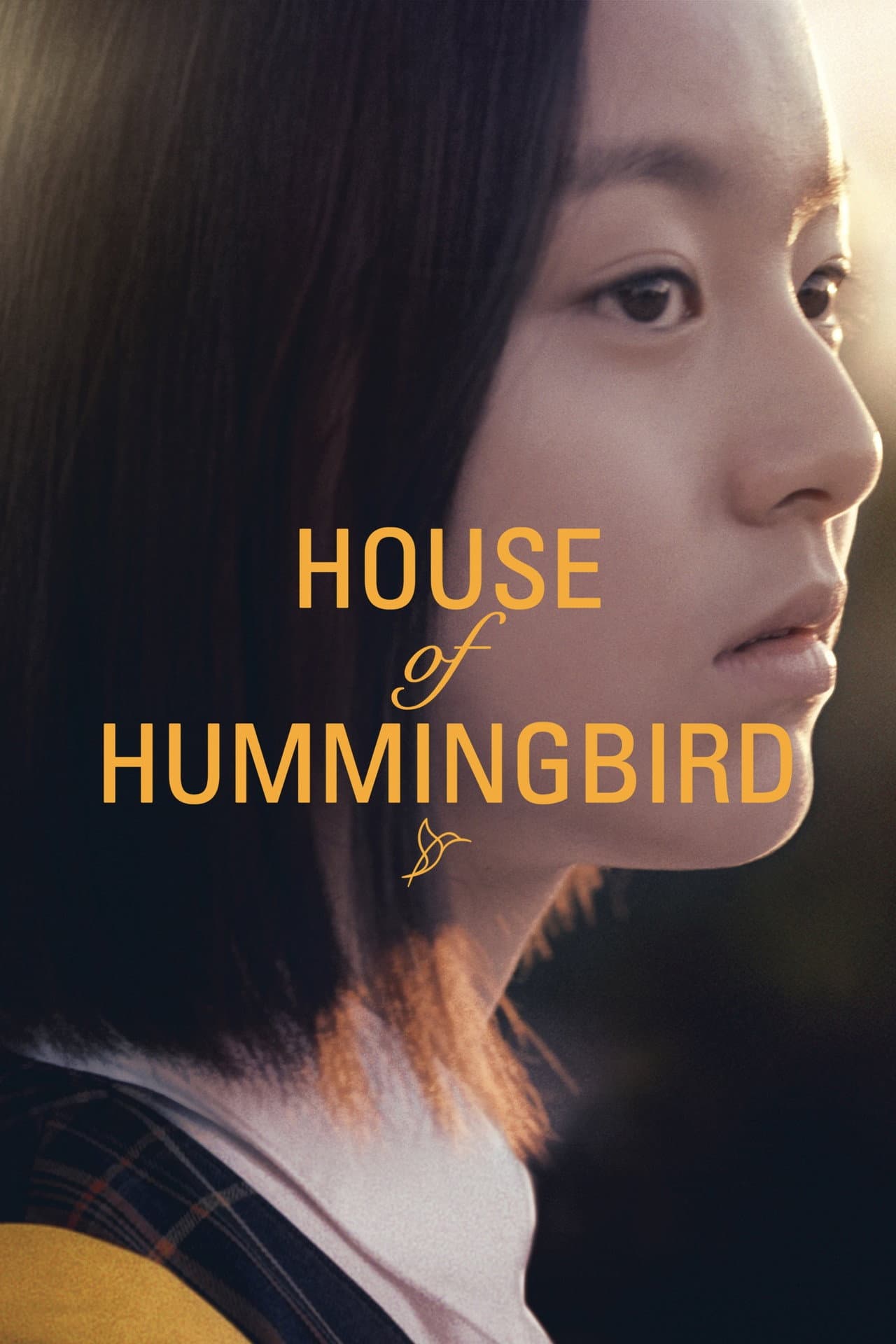 House of Hummingbird preview 2