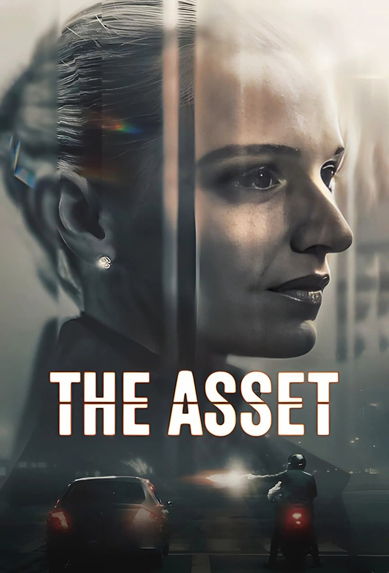 The Asset preview 2