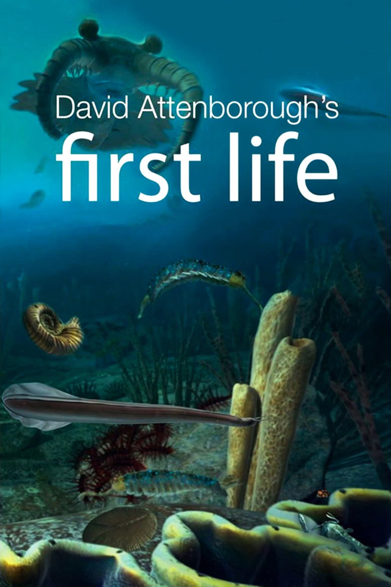 First Life preview 2