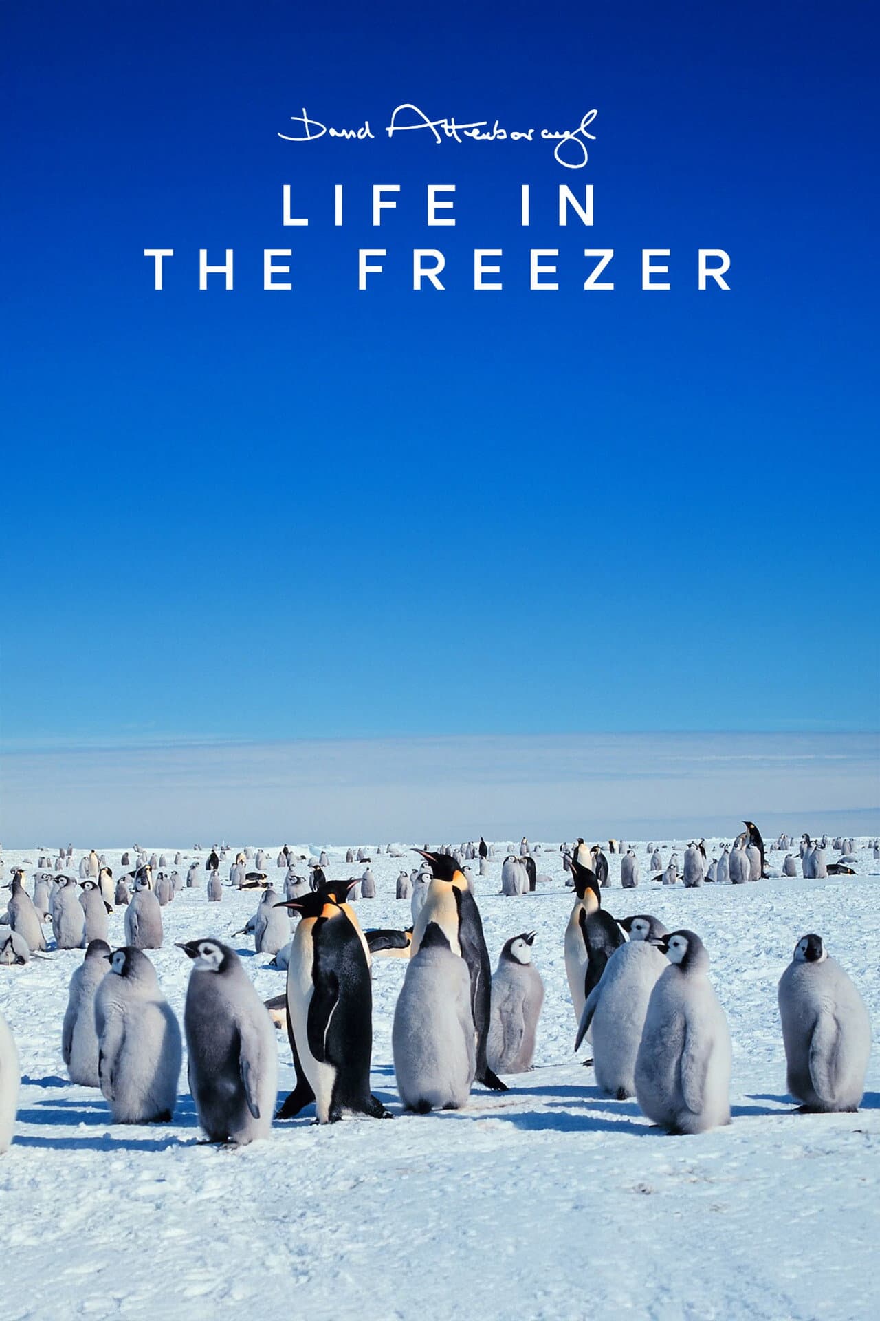 Life in the Freezer preview 2