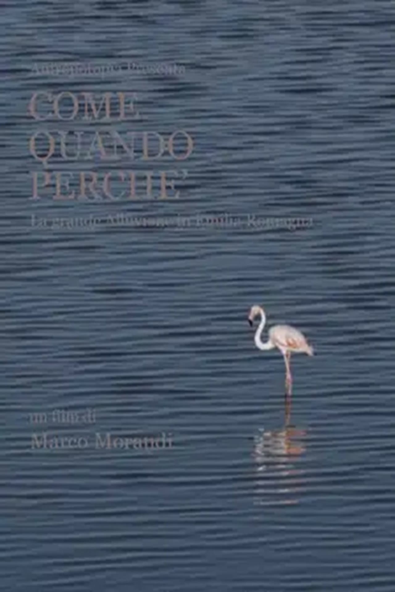 Come quando perché preview 1