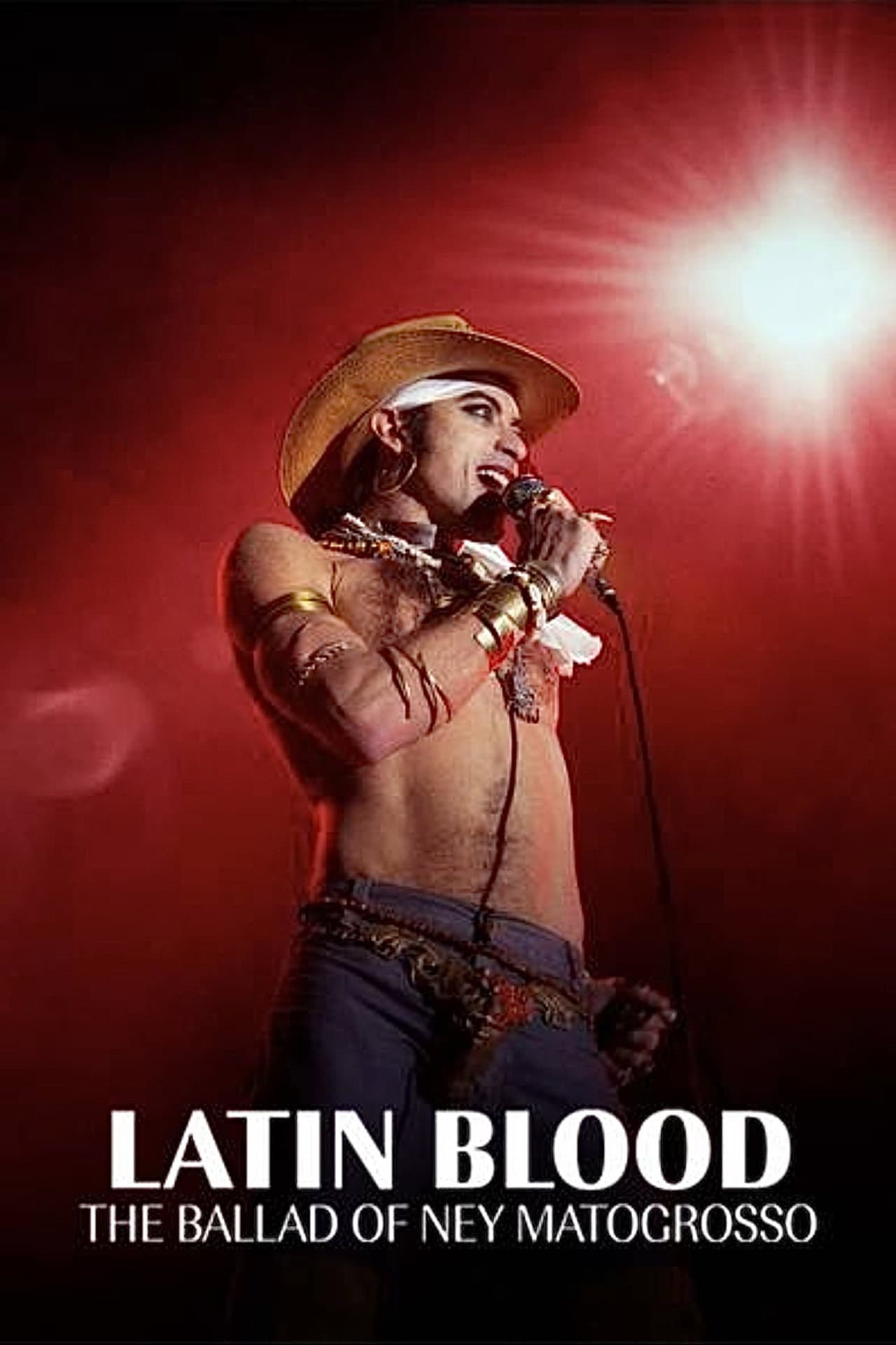 Latin Blood – The Ballad of Ney Matogrosso preview 2