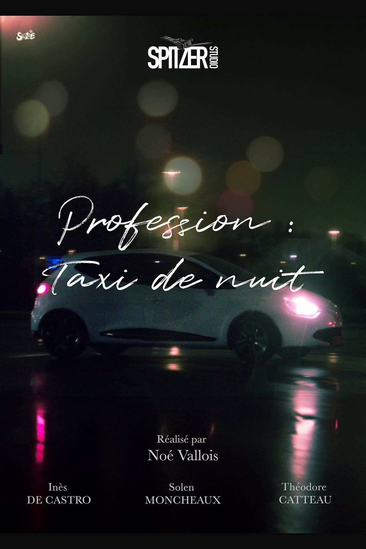 Profession : Taxi de nuit preview 1