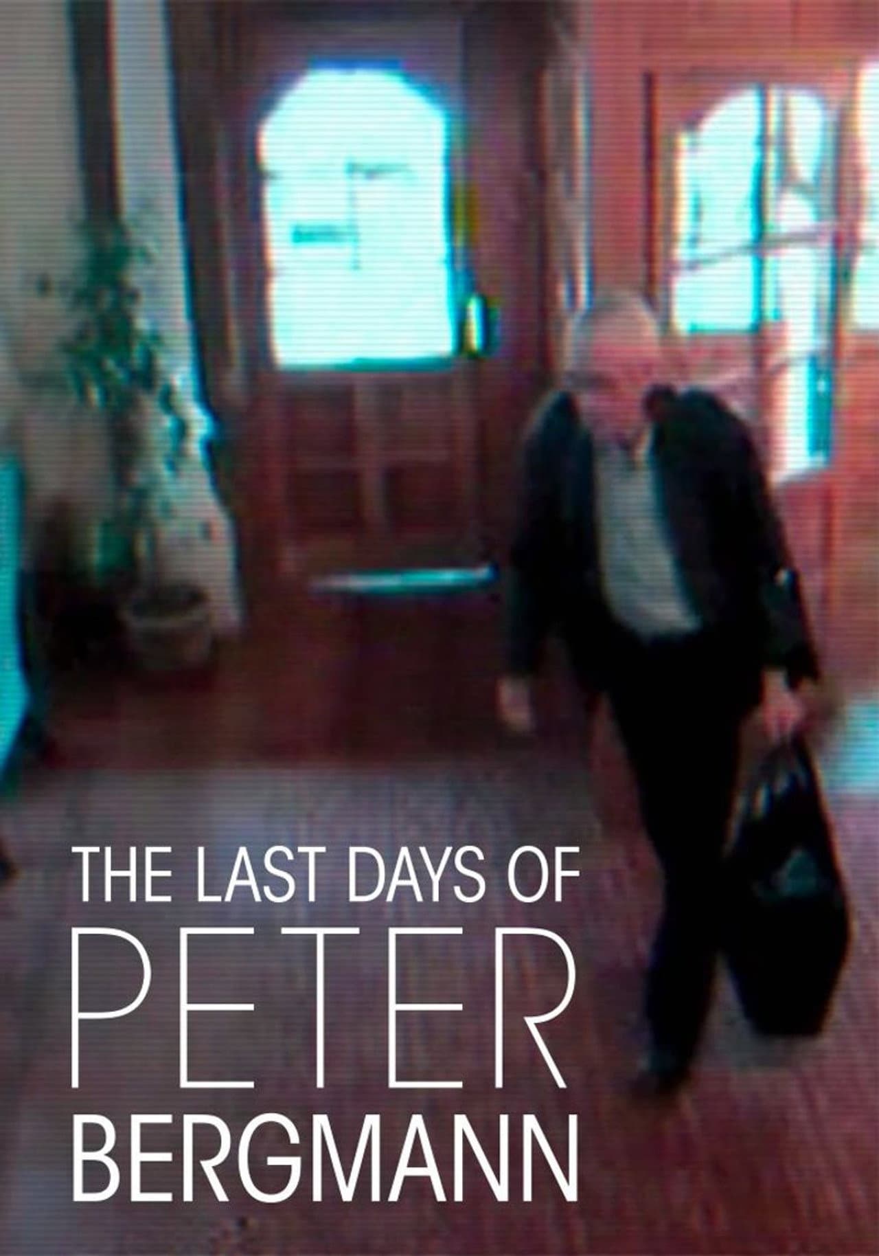 The Last Days of Peter Bergmann preview 2
