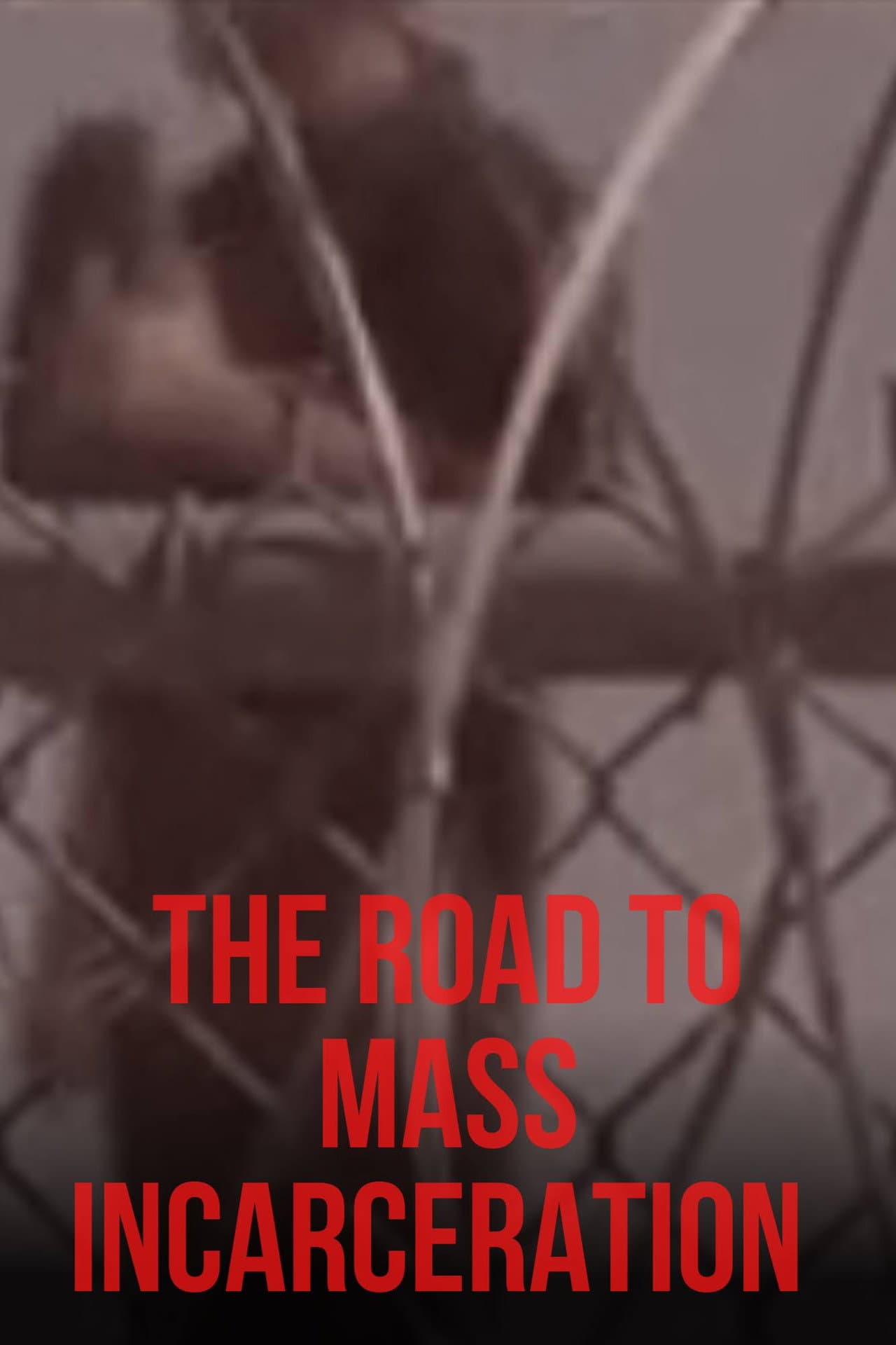 The Road to Mass Incarceration preview 1