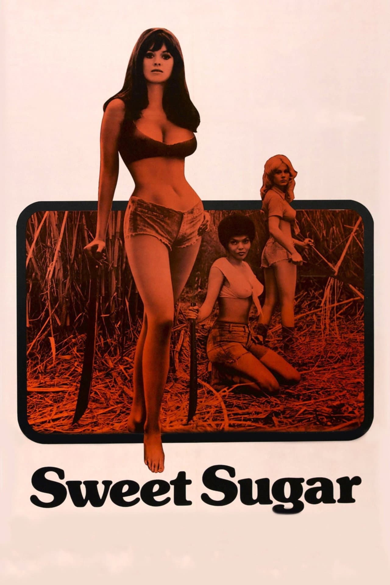 Sweet Sugar preview 2