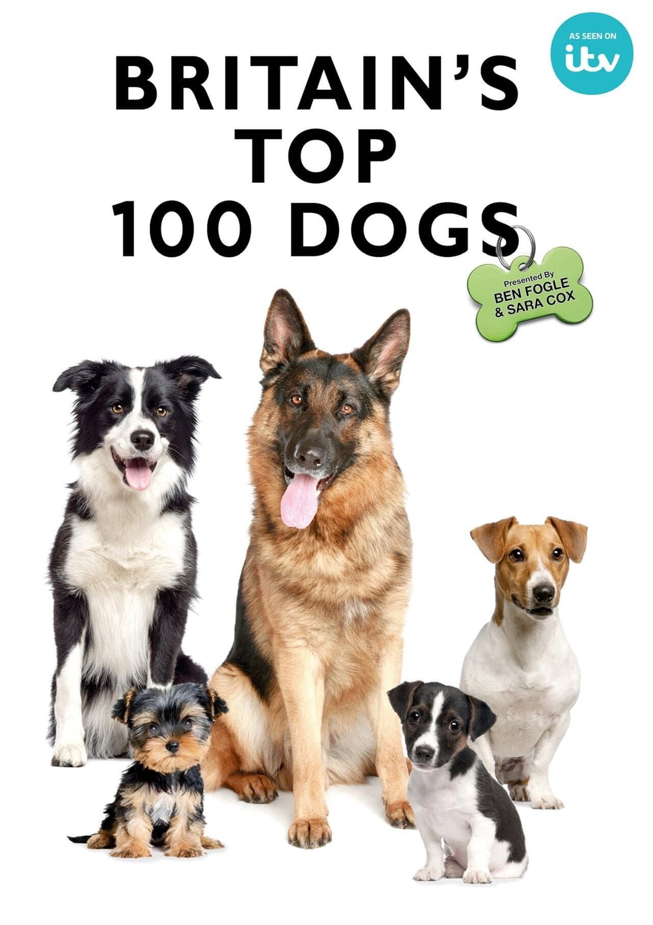 Britain's Favourite Dogs: Top 100 preview 2