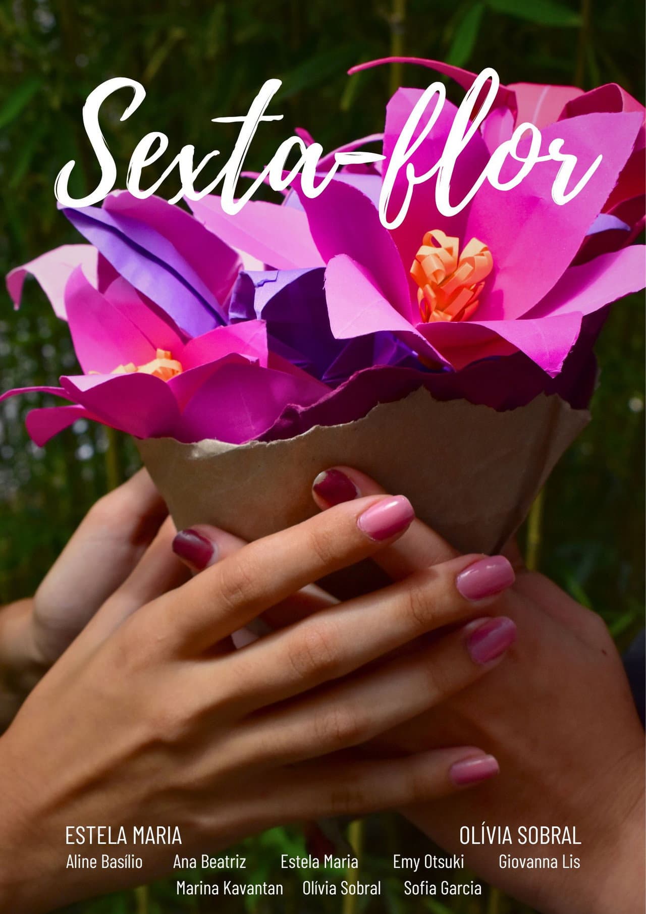 Sexta-flor preview 1